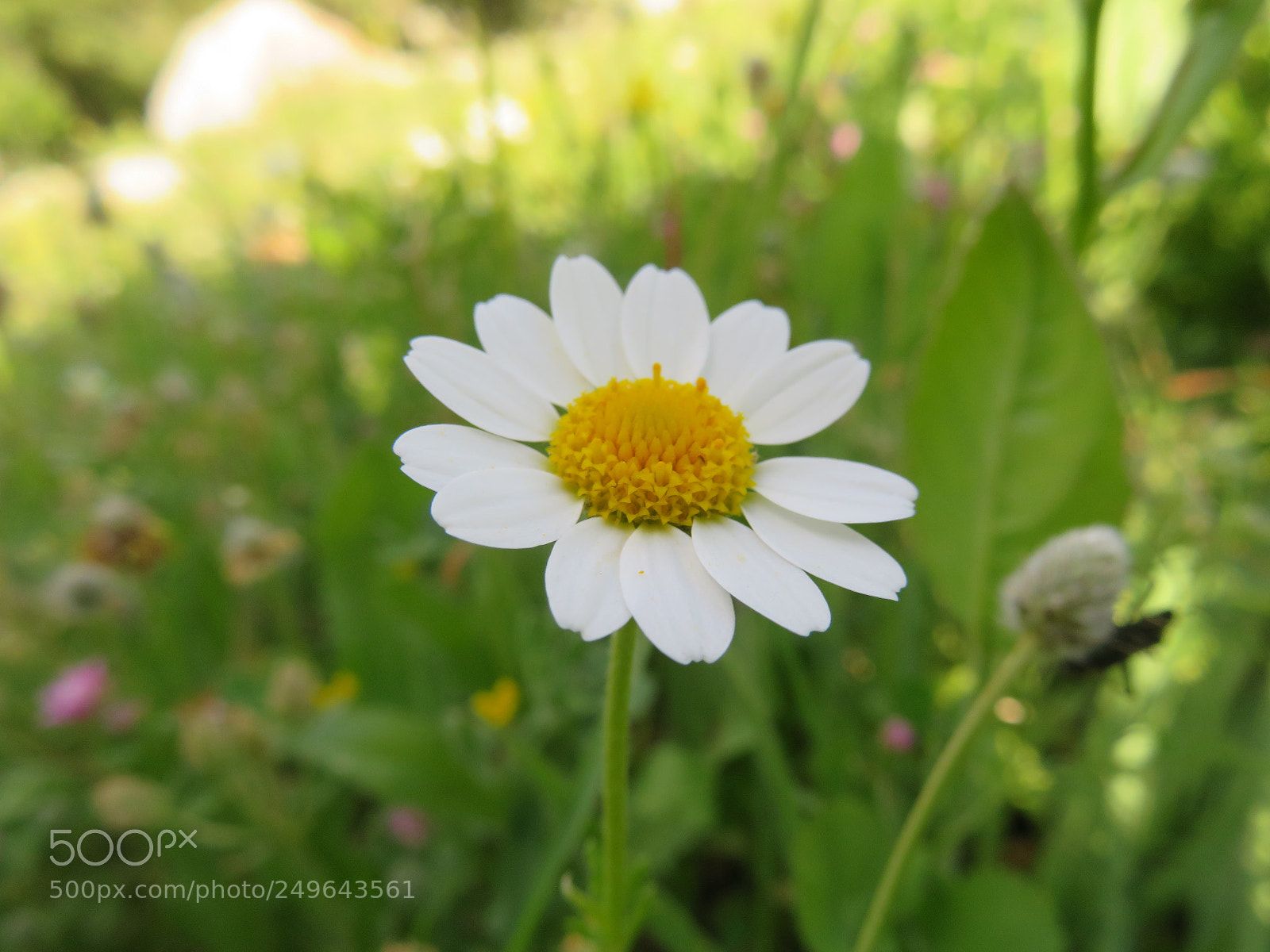 Canon PowerShot SX720 HS sample photo. Untitled photography