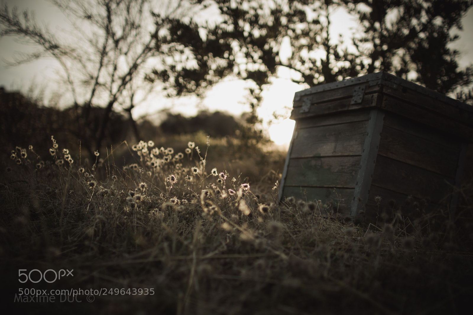 Nikon D3200 sample photo. () photography