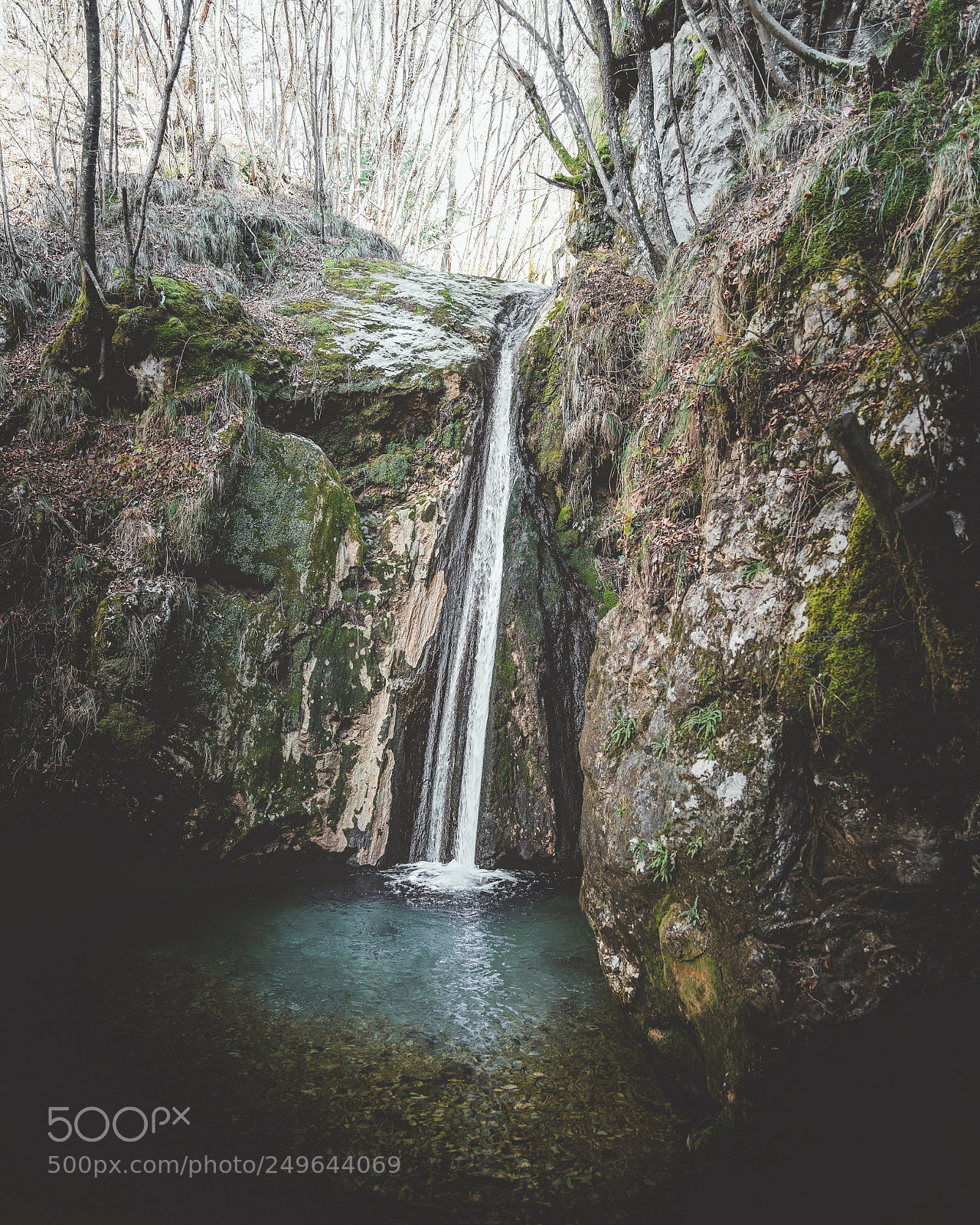 Sony a7R II sample photo. Untitled photography