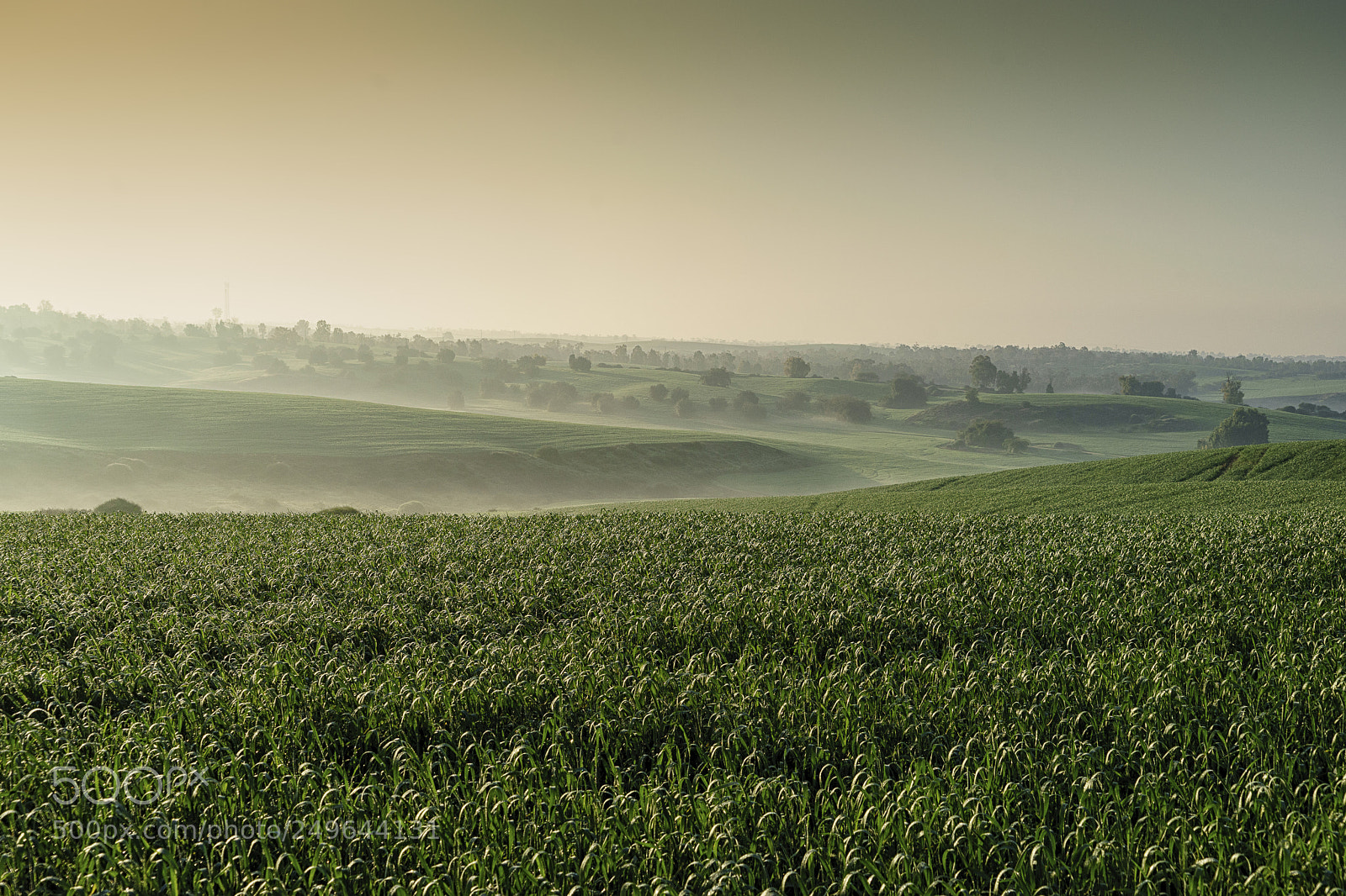 Sony a7 II sample photo. Between dawn and sunrise photography