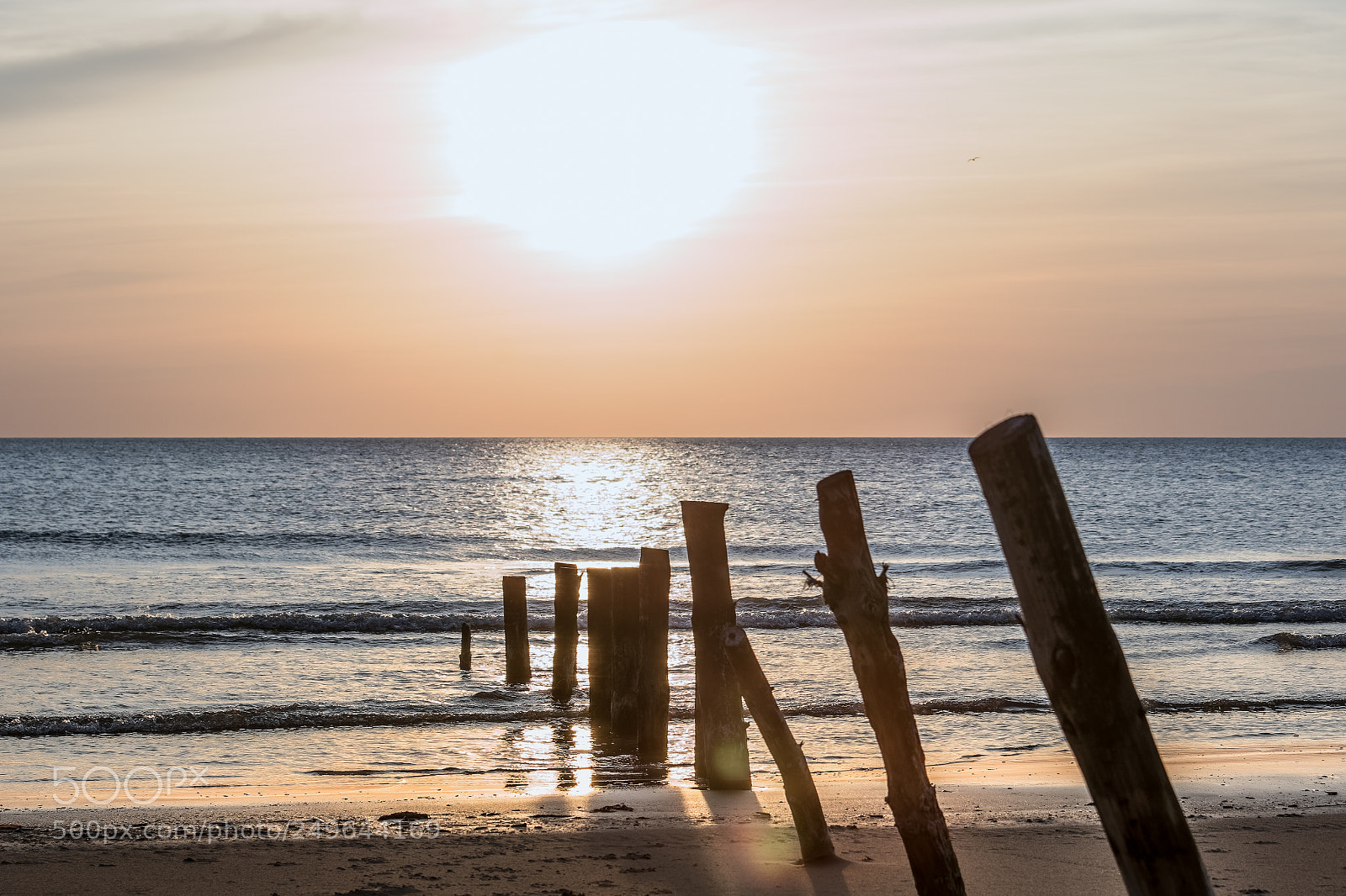 Canon EOS 7D Mark II sample photo. Sunset photography