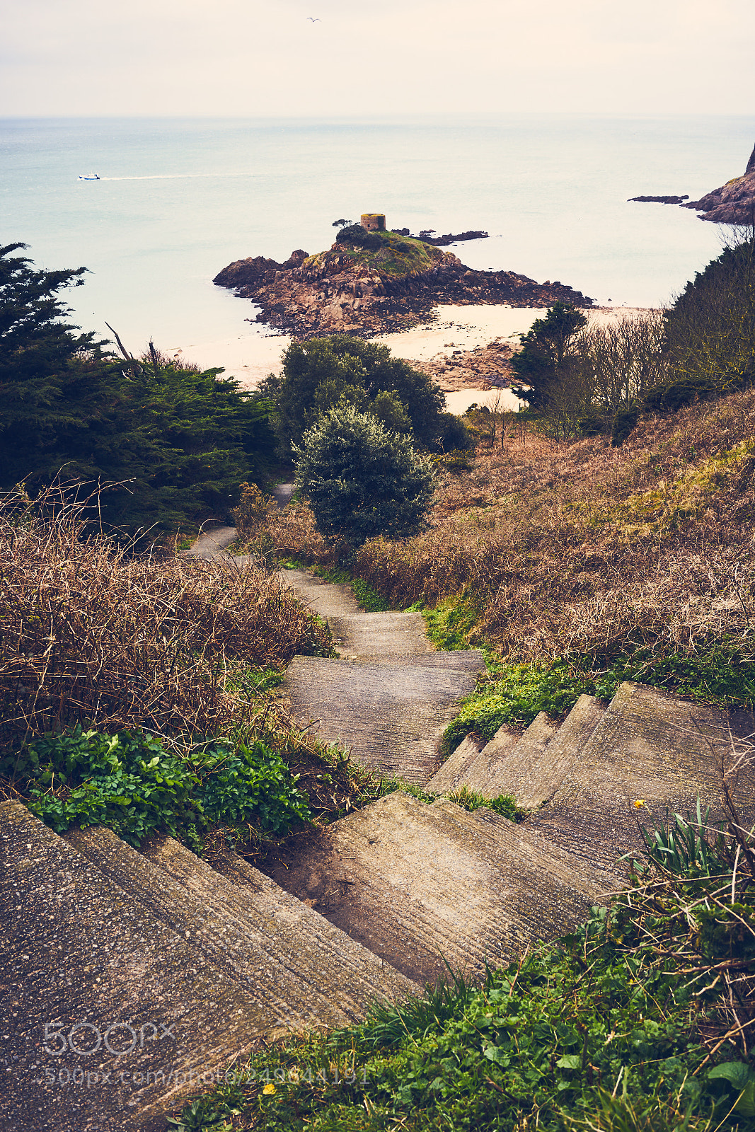 Sony a7R II sample photo. Day seventy six photography