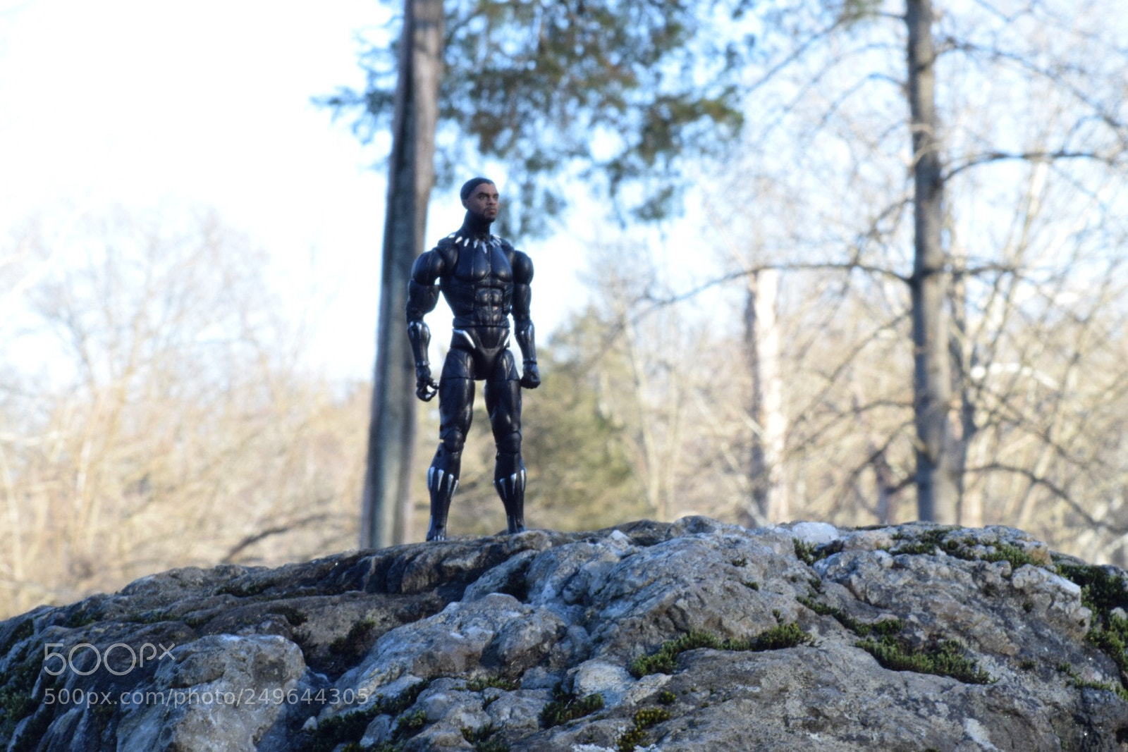 Nikon D5300 sample photo. #saturdaymorning #outdoorphotography #marvellegend ... photography