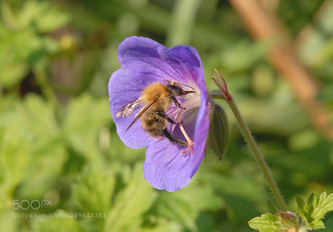 Nikon D200 sample photo. Nd photography
