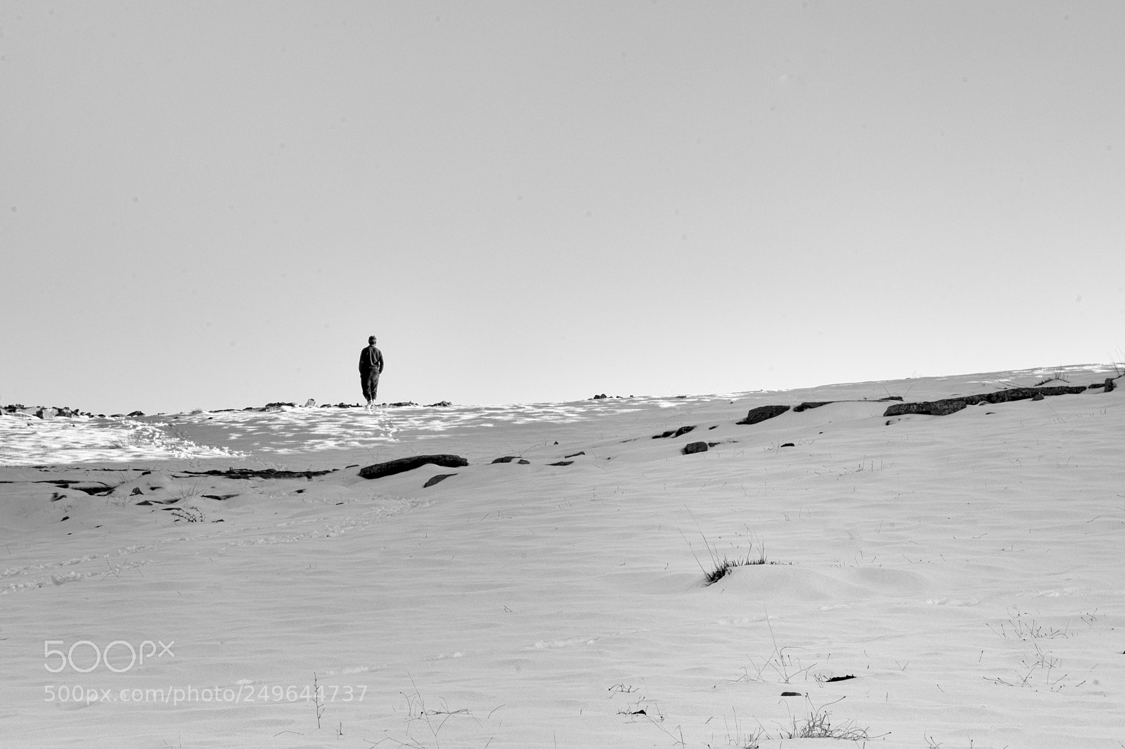 Nikon D700 sample photo. Alone photography