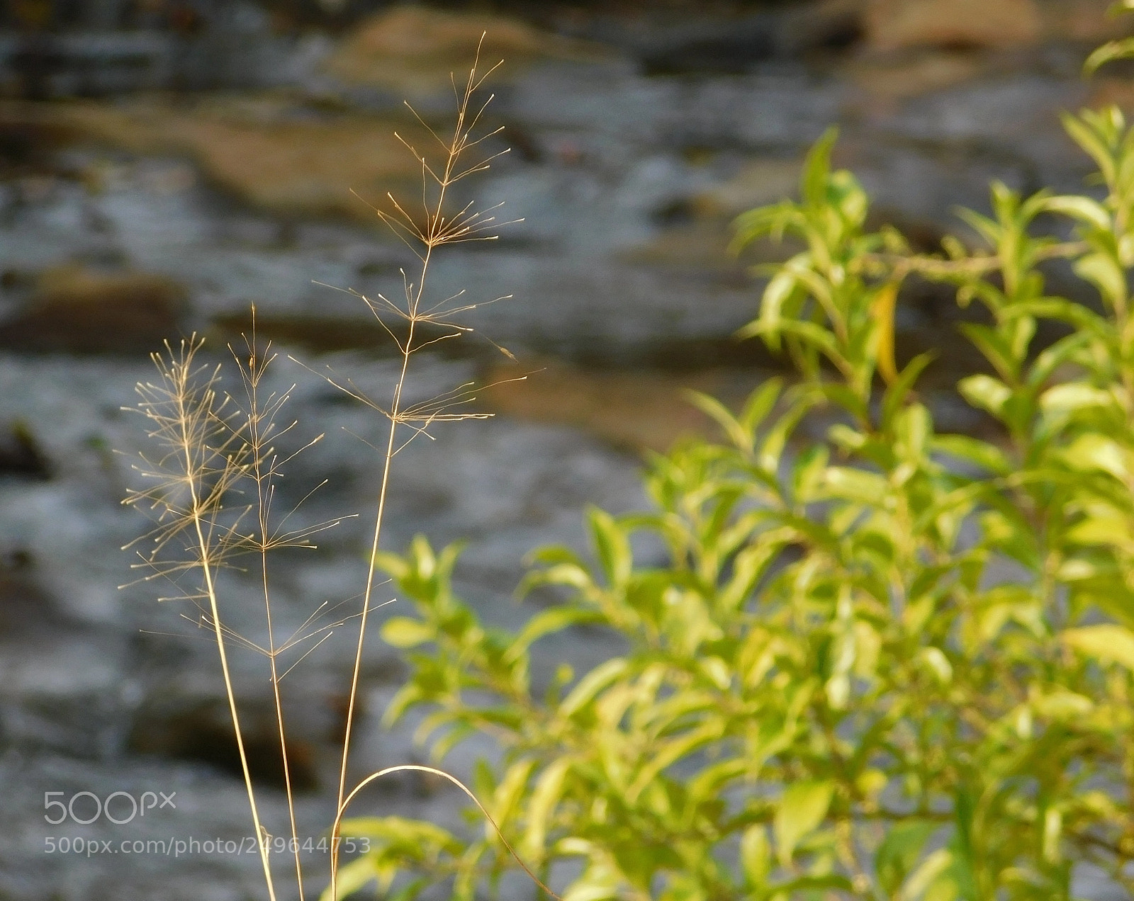 Nikon Coolpix B500 sample photo. New photography