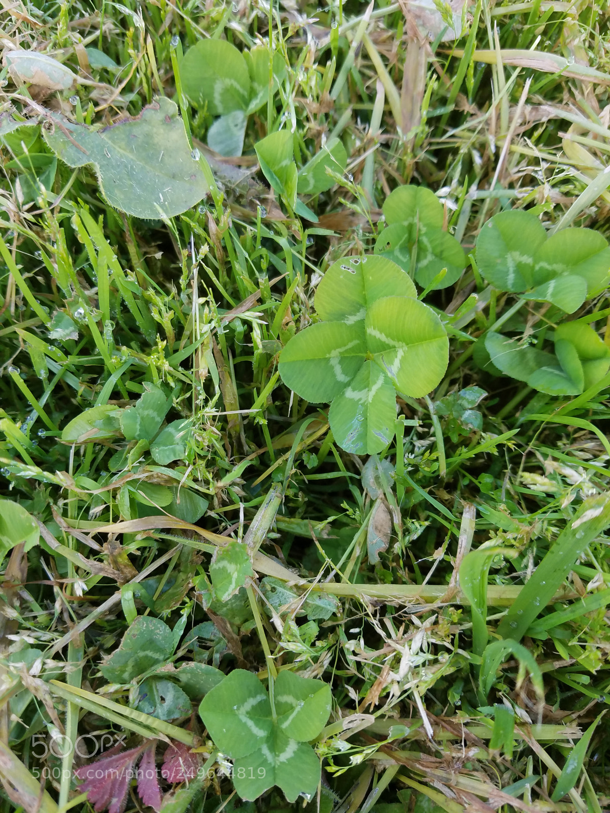 Samsung Galaxy S7 sample photo. Alternate photography
