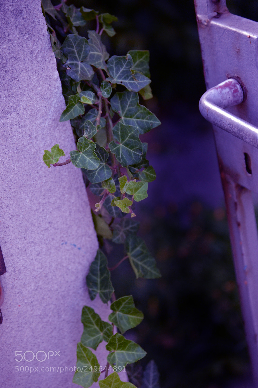 Nikon D3100 sample photo. Open door photography