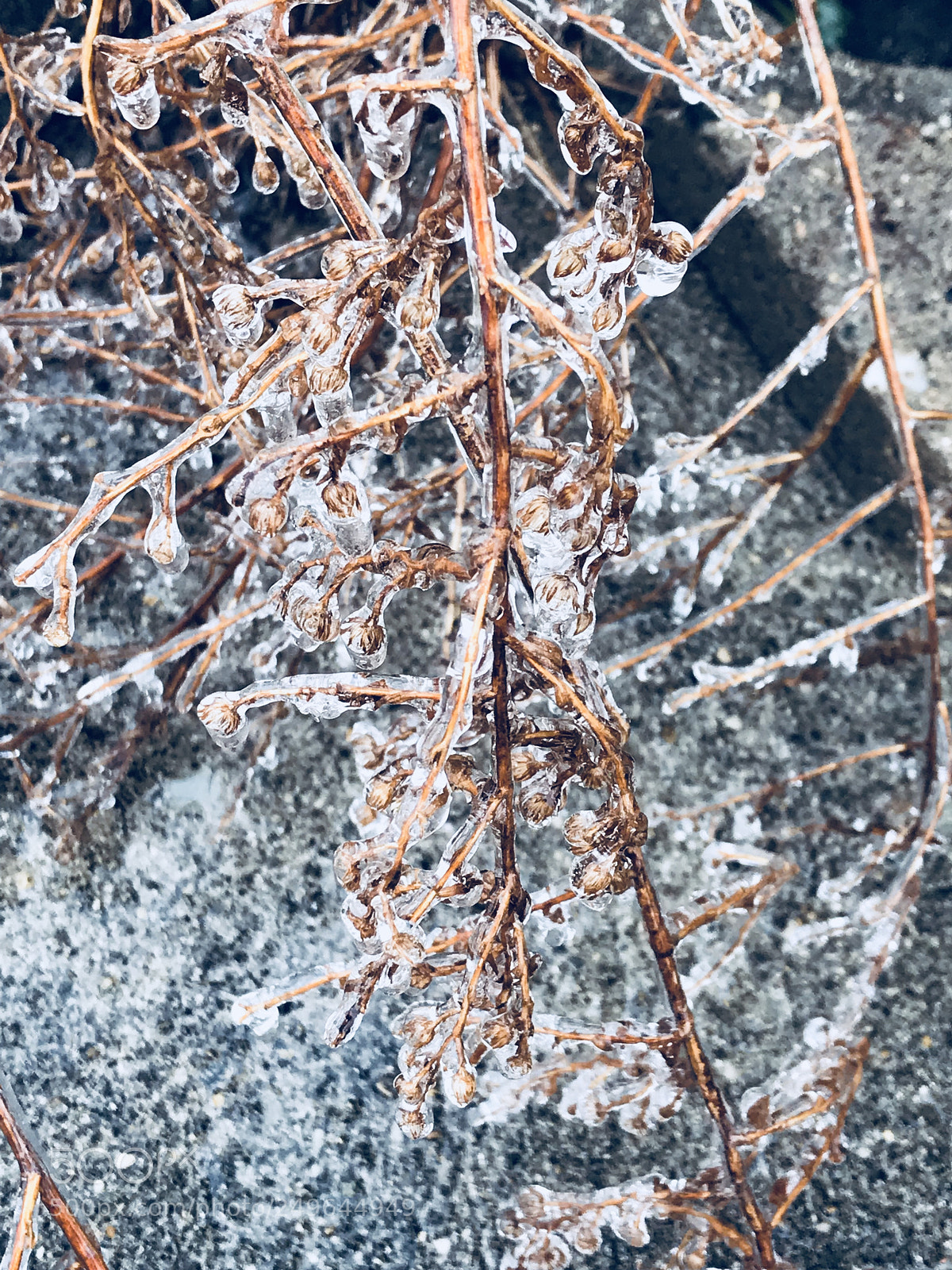 Apple iPhone 7 Plus sample photo. Ice storm art photography