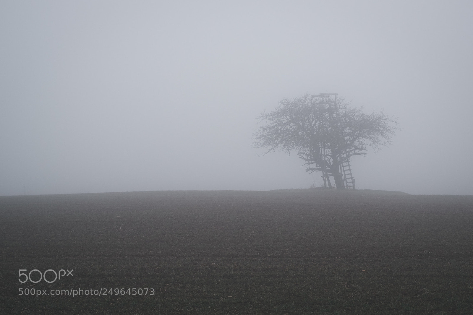 Fujifilm X-E2 sample photo. Tree in the fog photography