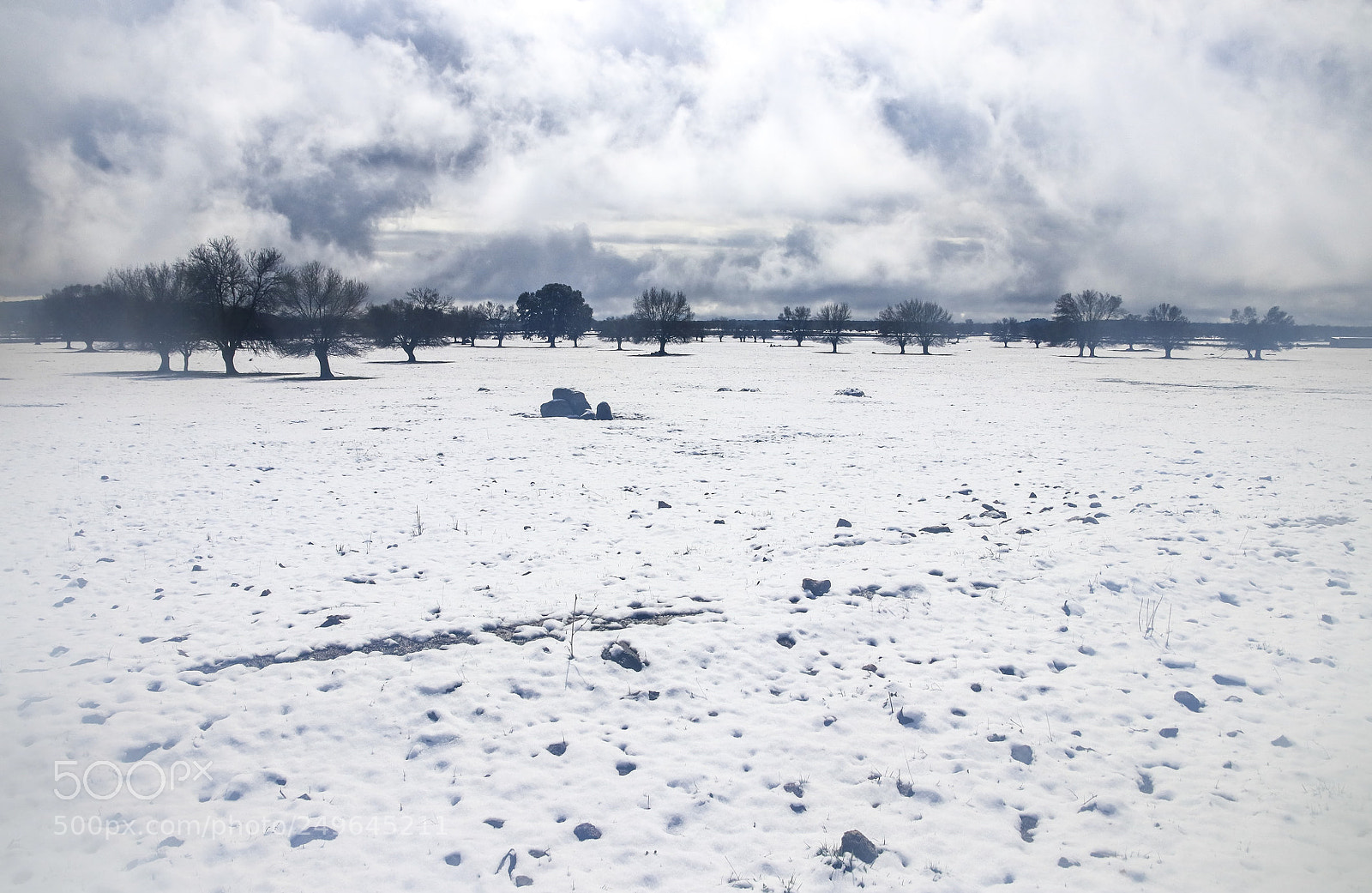 Canon EOS 80D sample photo. "snow meadow" photography