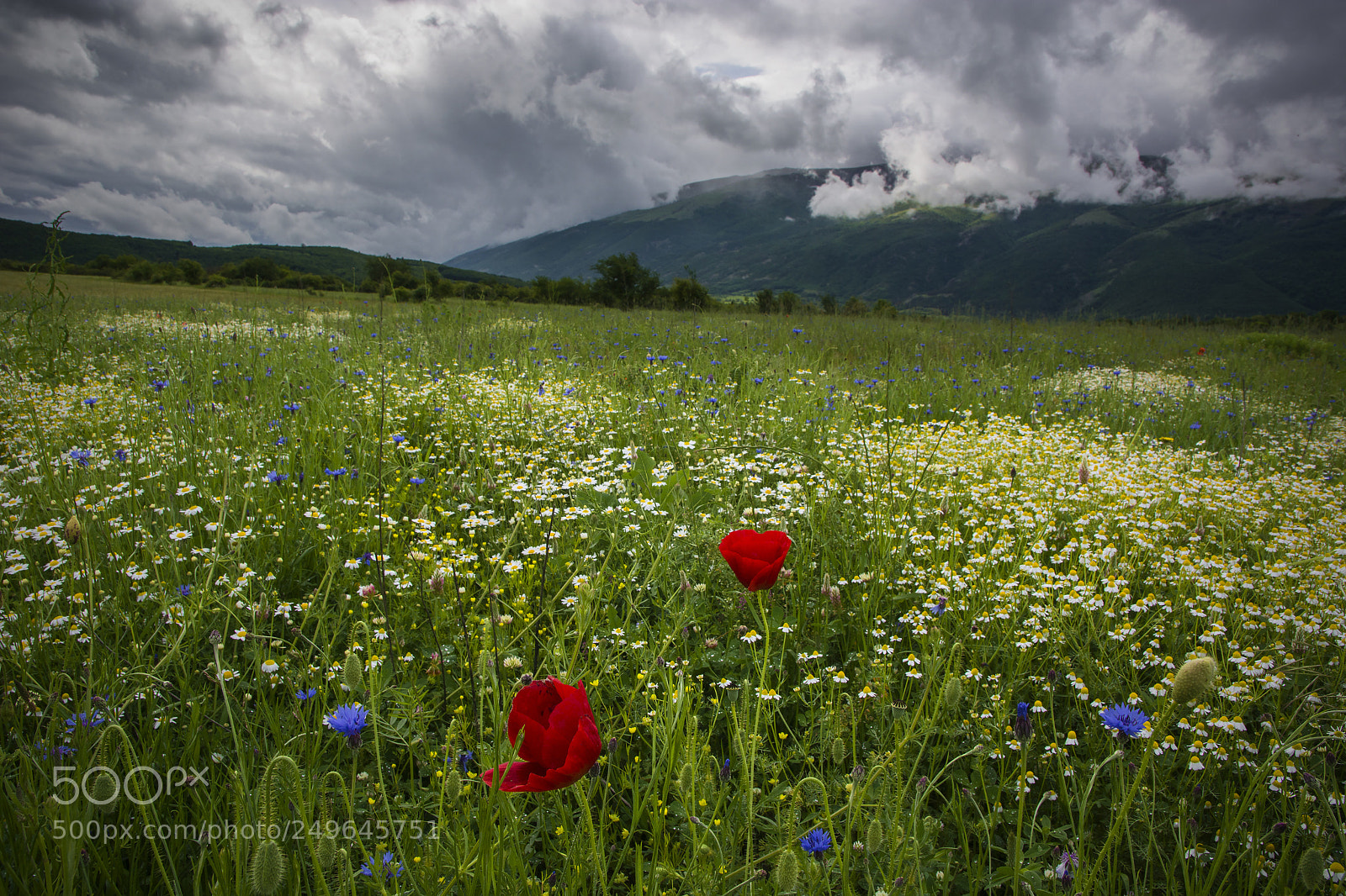 Nikon D5200 sample photo. Landscape of early may photography