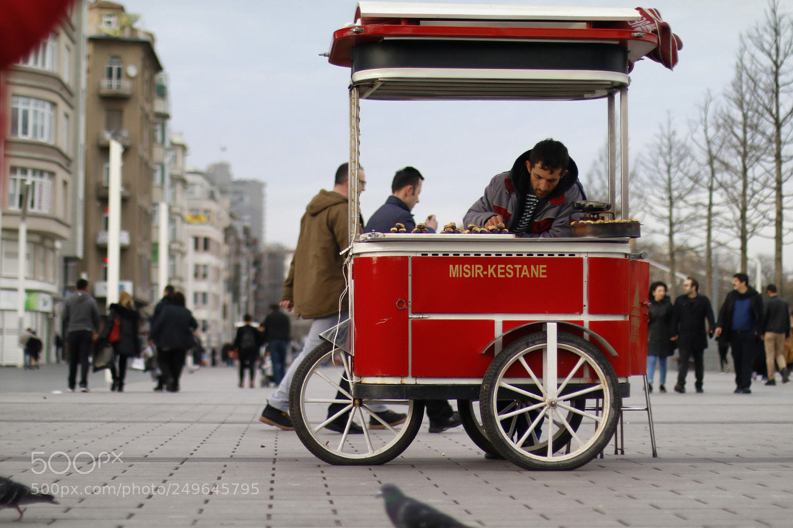 Canon EOS 750D (EOS Rebel T6i / EOS Kiss X8i) sample photo. Chestnut seller taksim istanbul photography