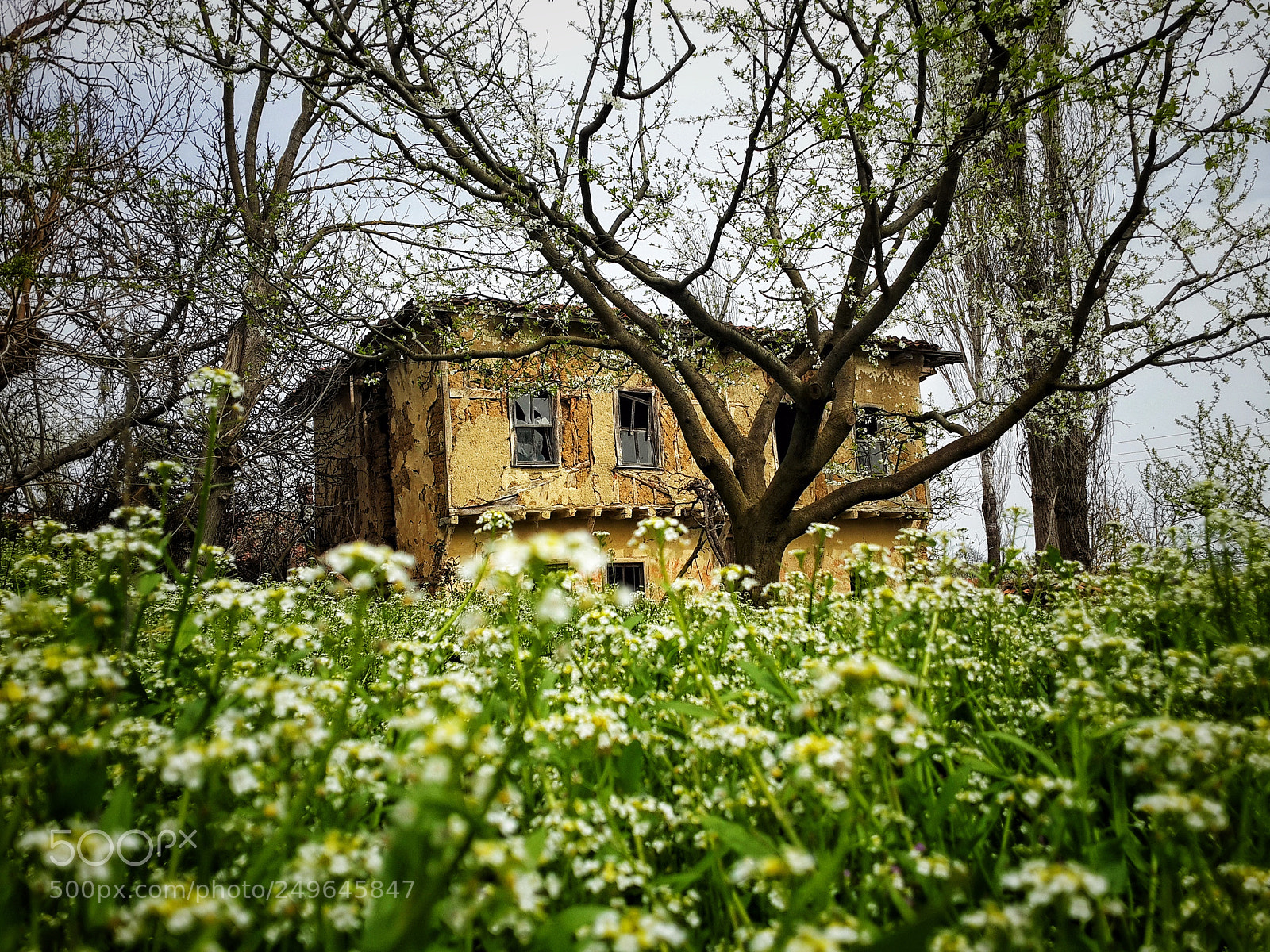 Samsung Galaxy S4 sample photo. İznik photography