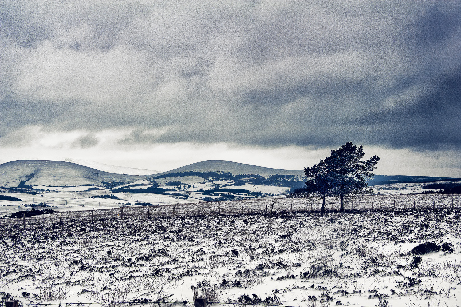 Nikon D700 sample photo. Scottish weather photography