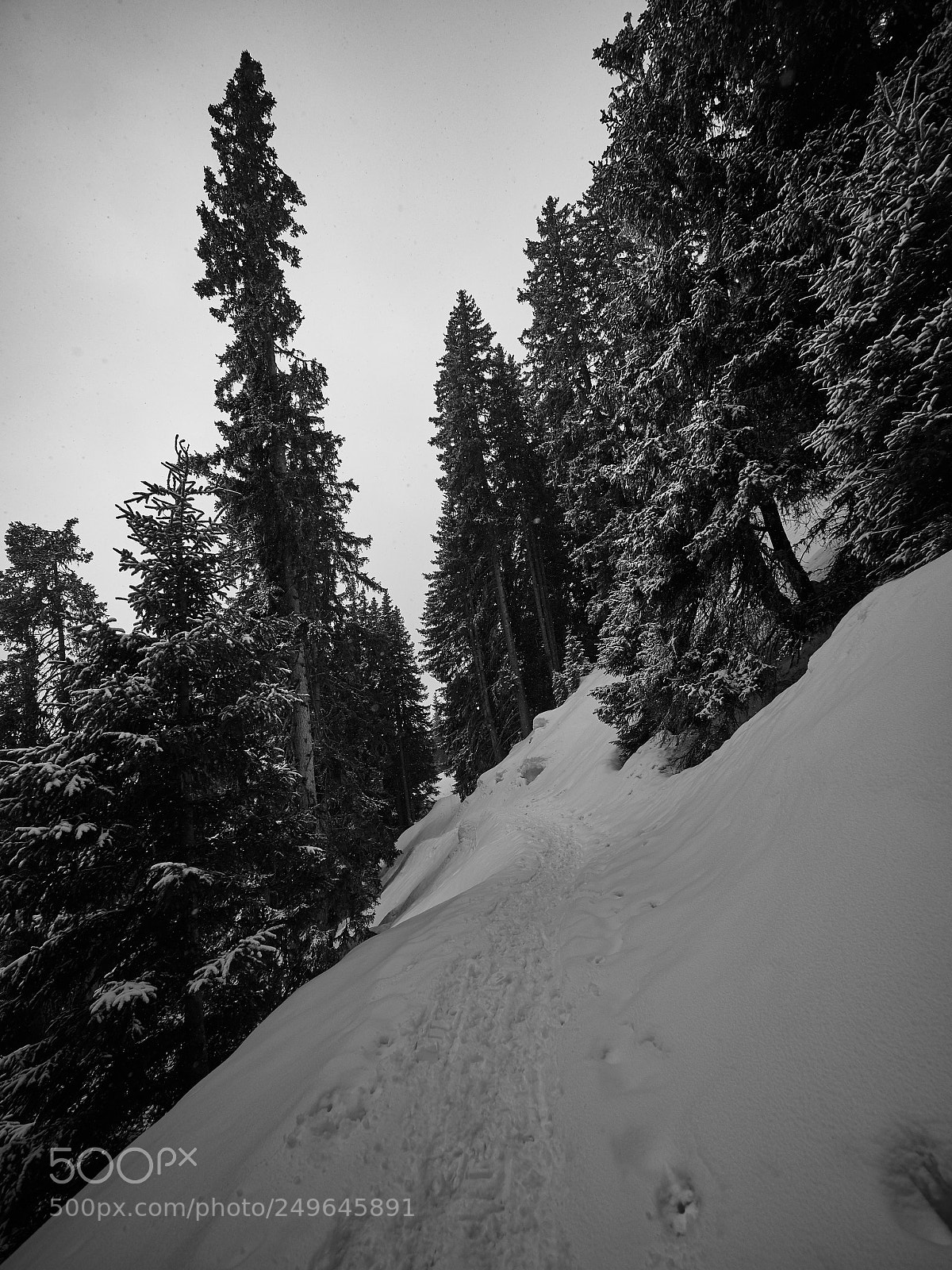 Olympus OM-D E-M10 sample photo. Winter retreat photography