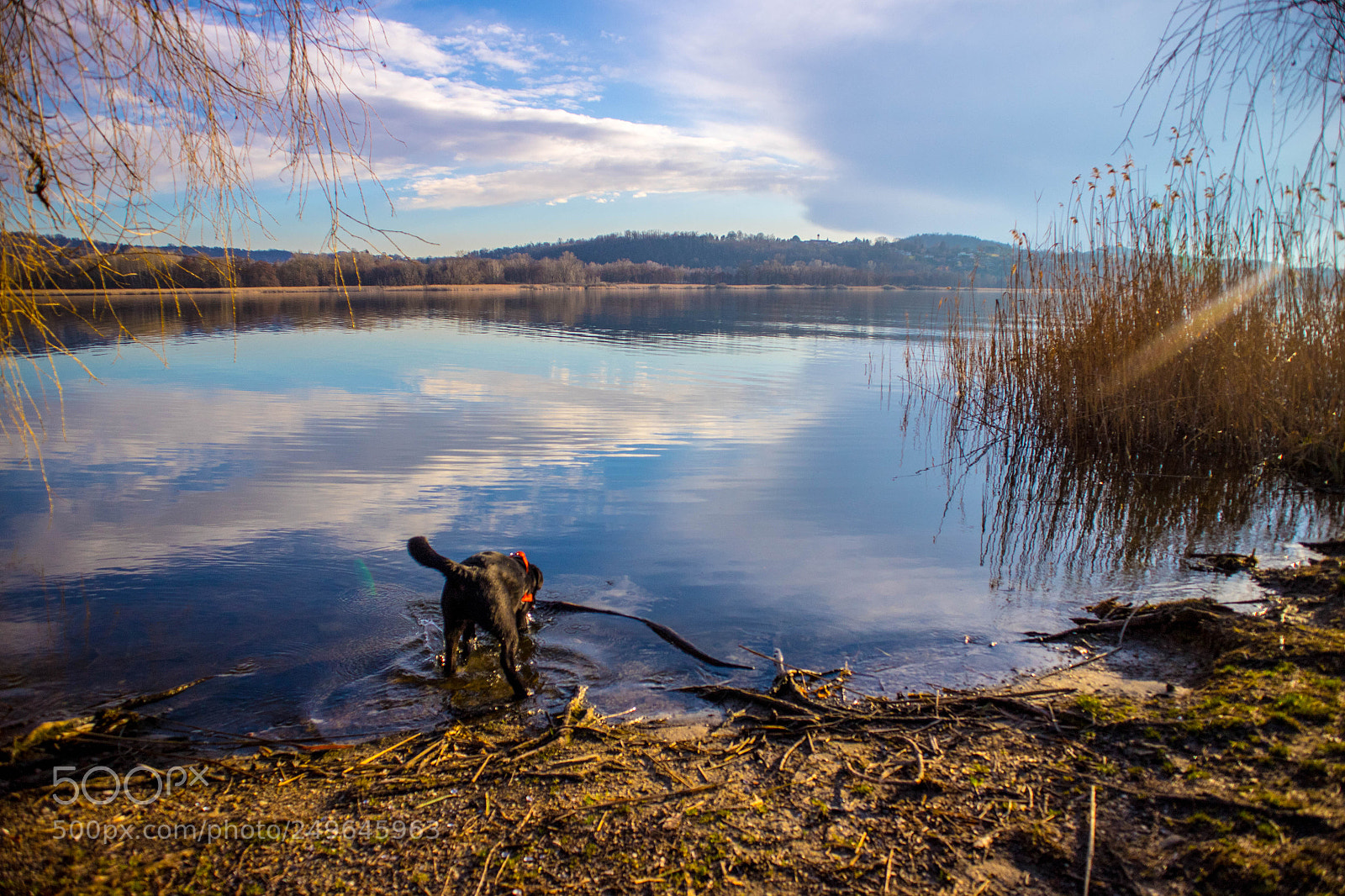 Canon EOS M10 sample photo. Img photography