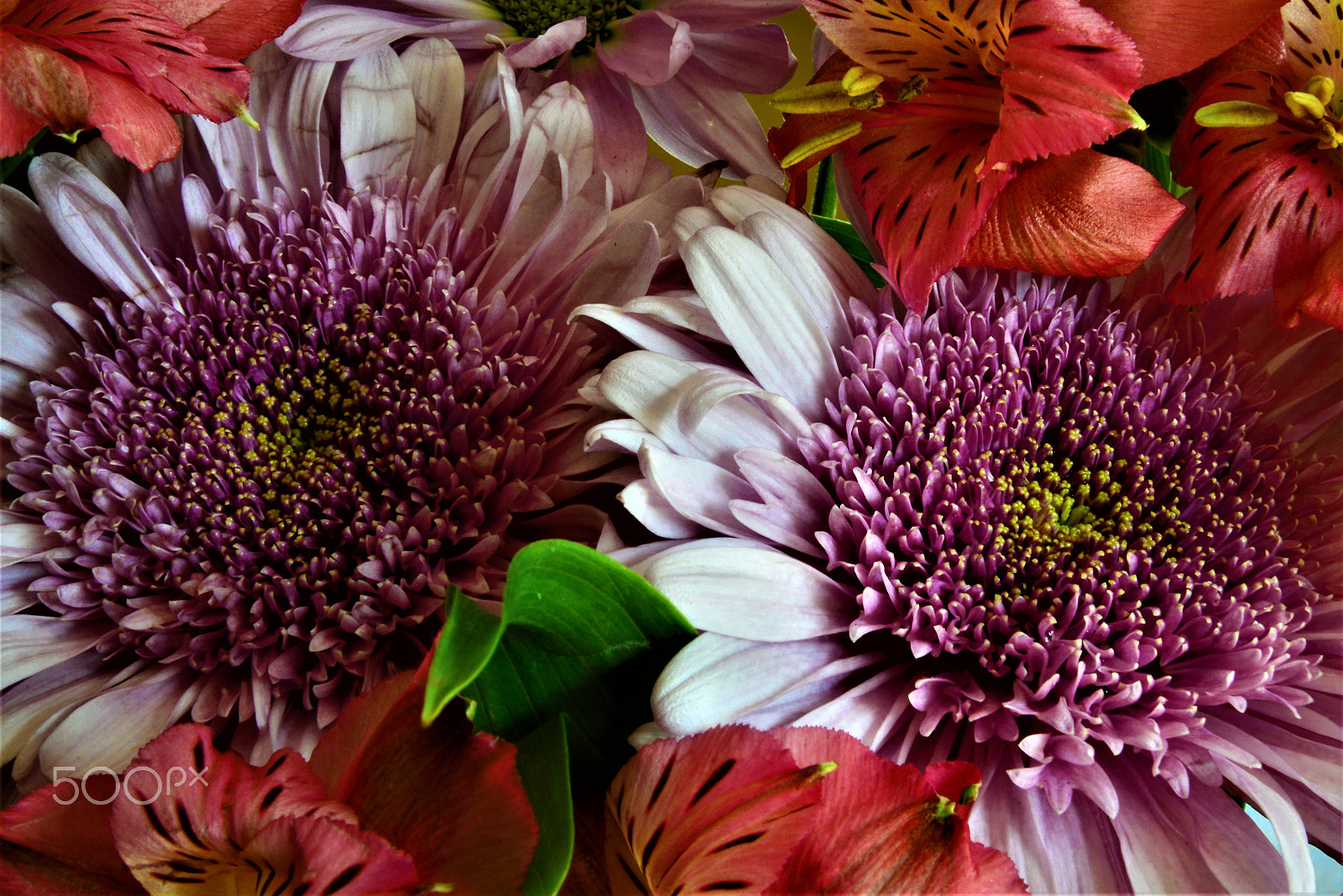 Nikon D610 sample photo. Inside of a boquet photography