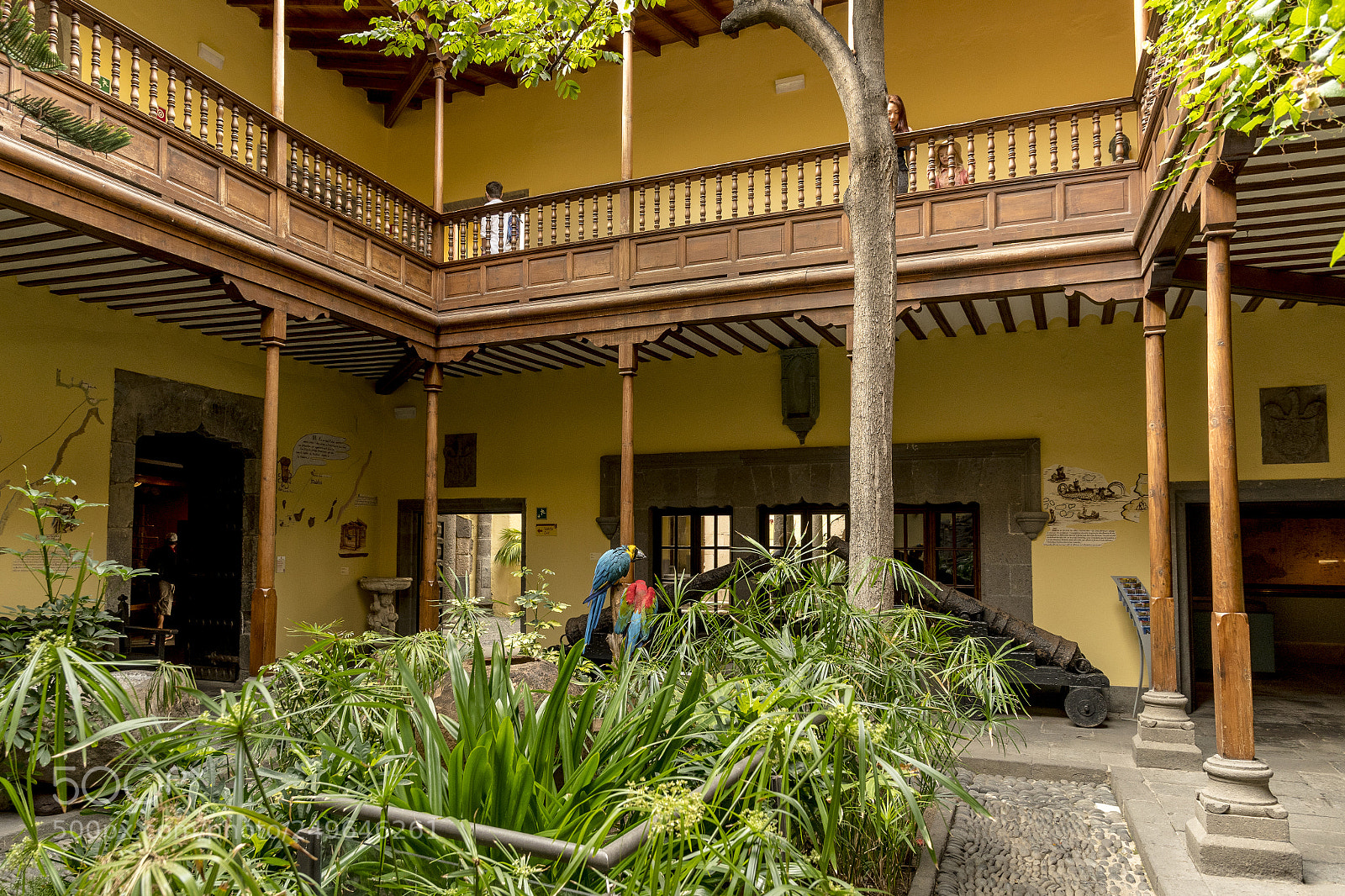 Nikon D500 sample photo. Las palmas, grand canaria photography