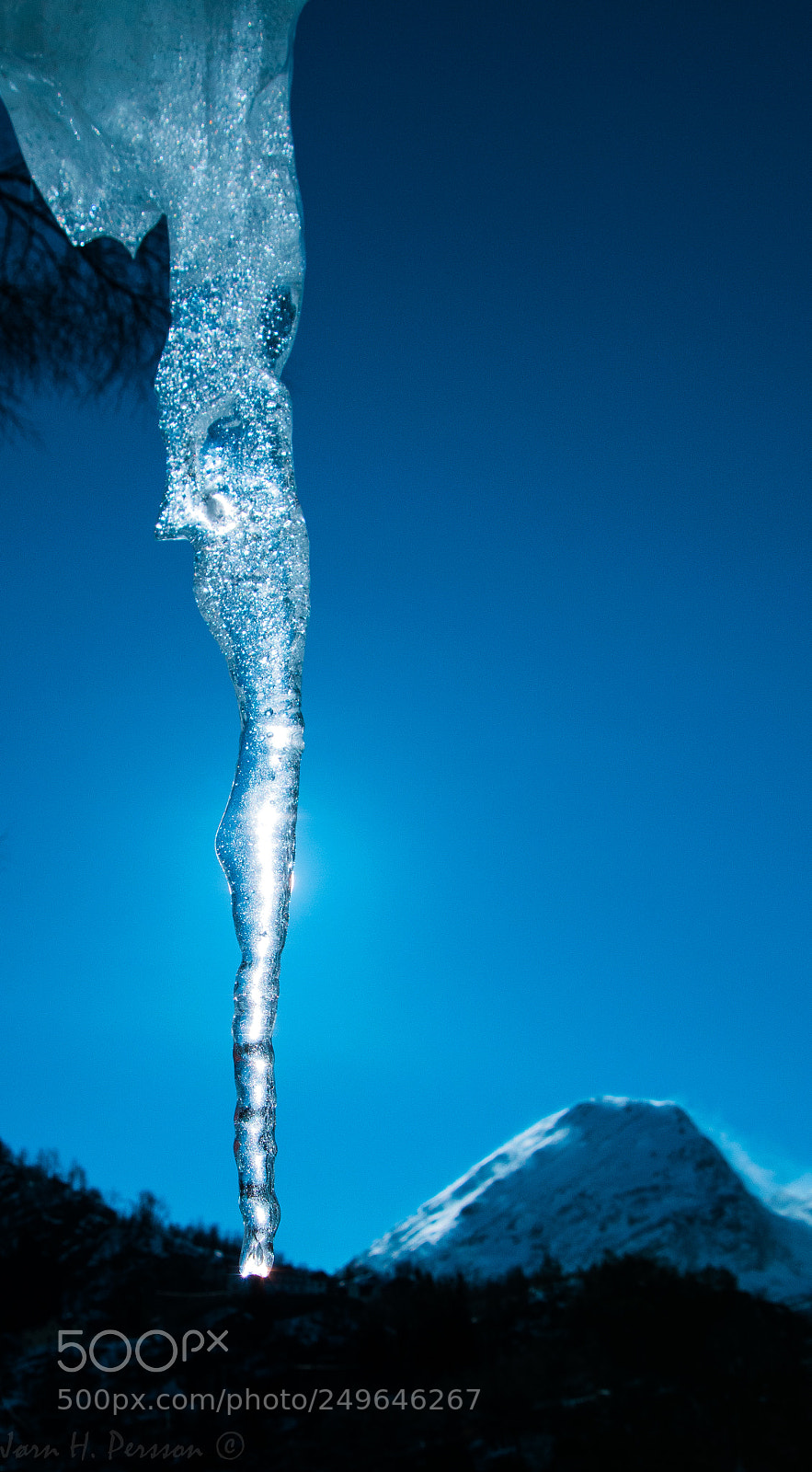 Nikon D3300 sample photo. Icicle photography