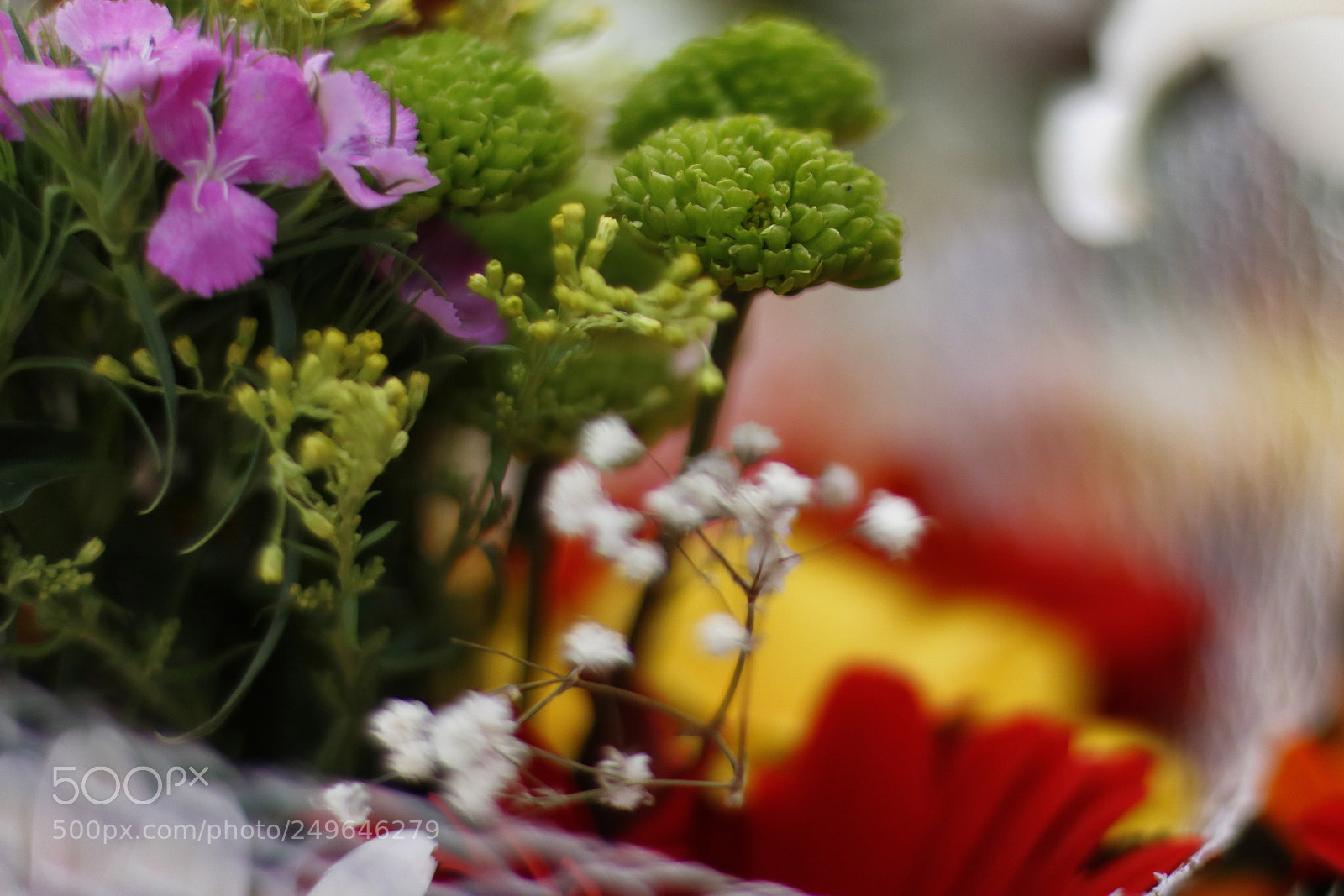 Canon EOS 750D (EOS Rebel T6i / EOS Kiss X8i) sample photo. Taksim flower photography