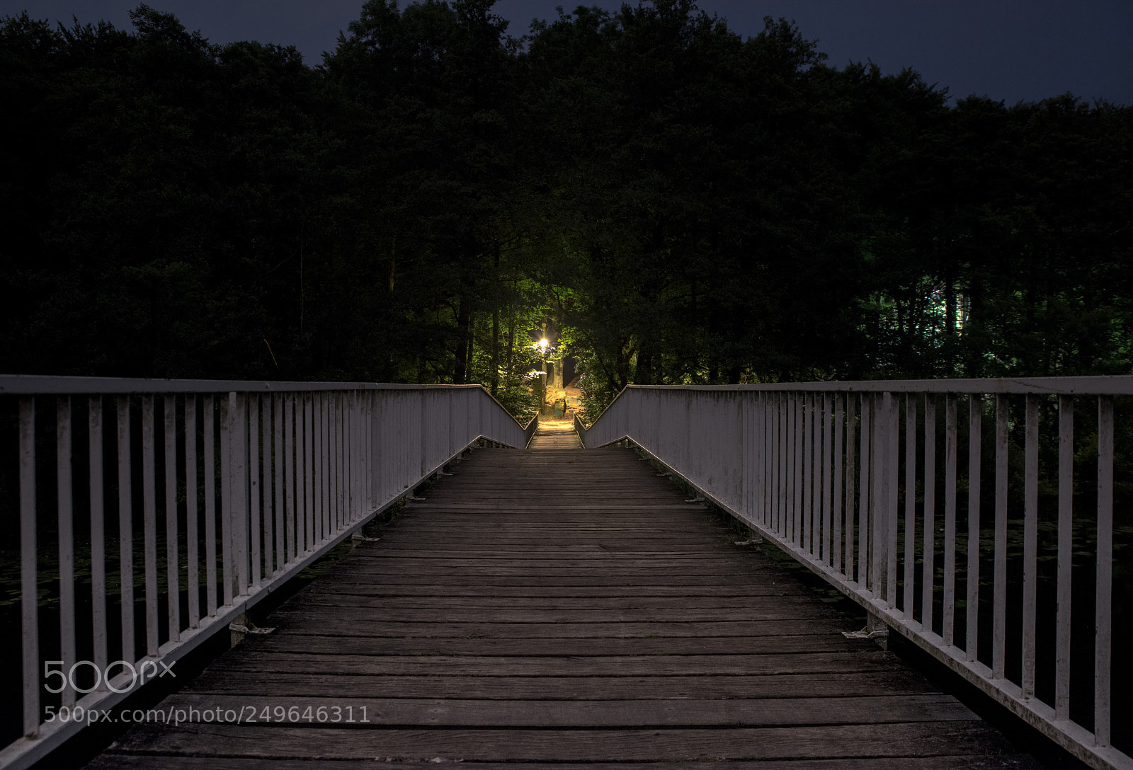 Nikon D810 sample photo. The light at the photography