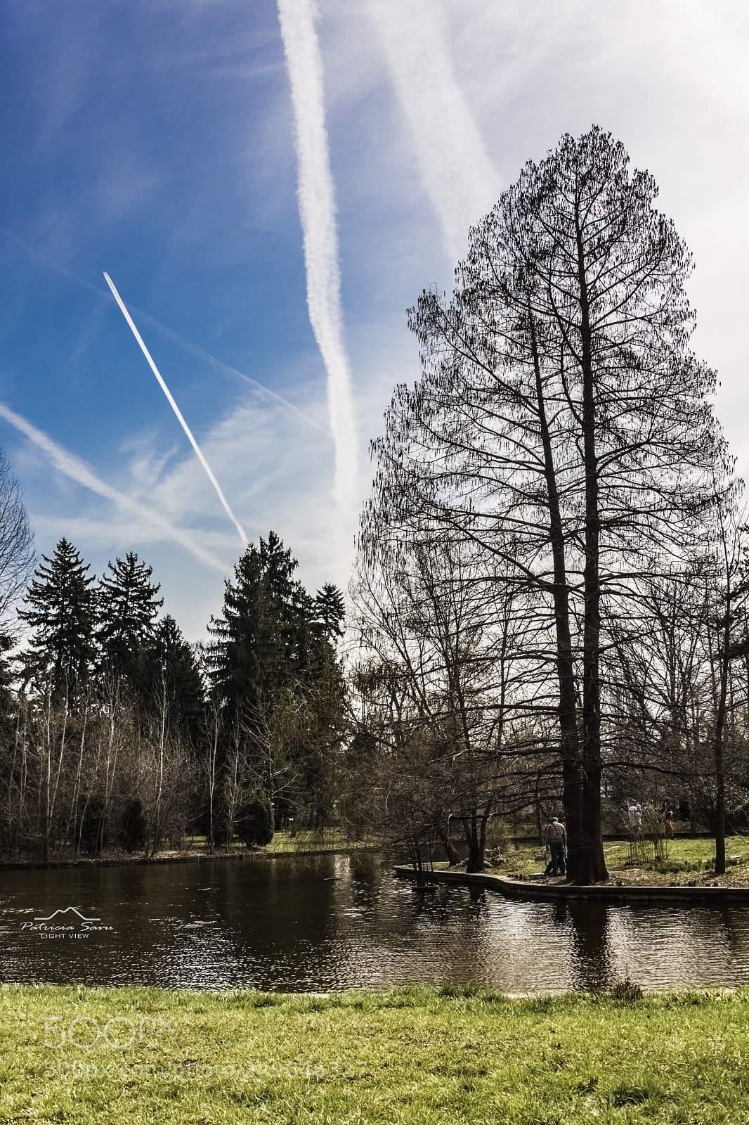 Nikon D7200 sample photo. Lines! photography