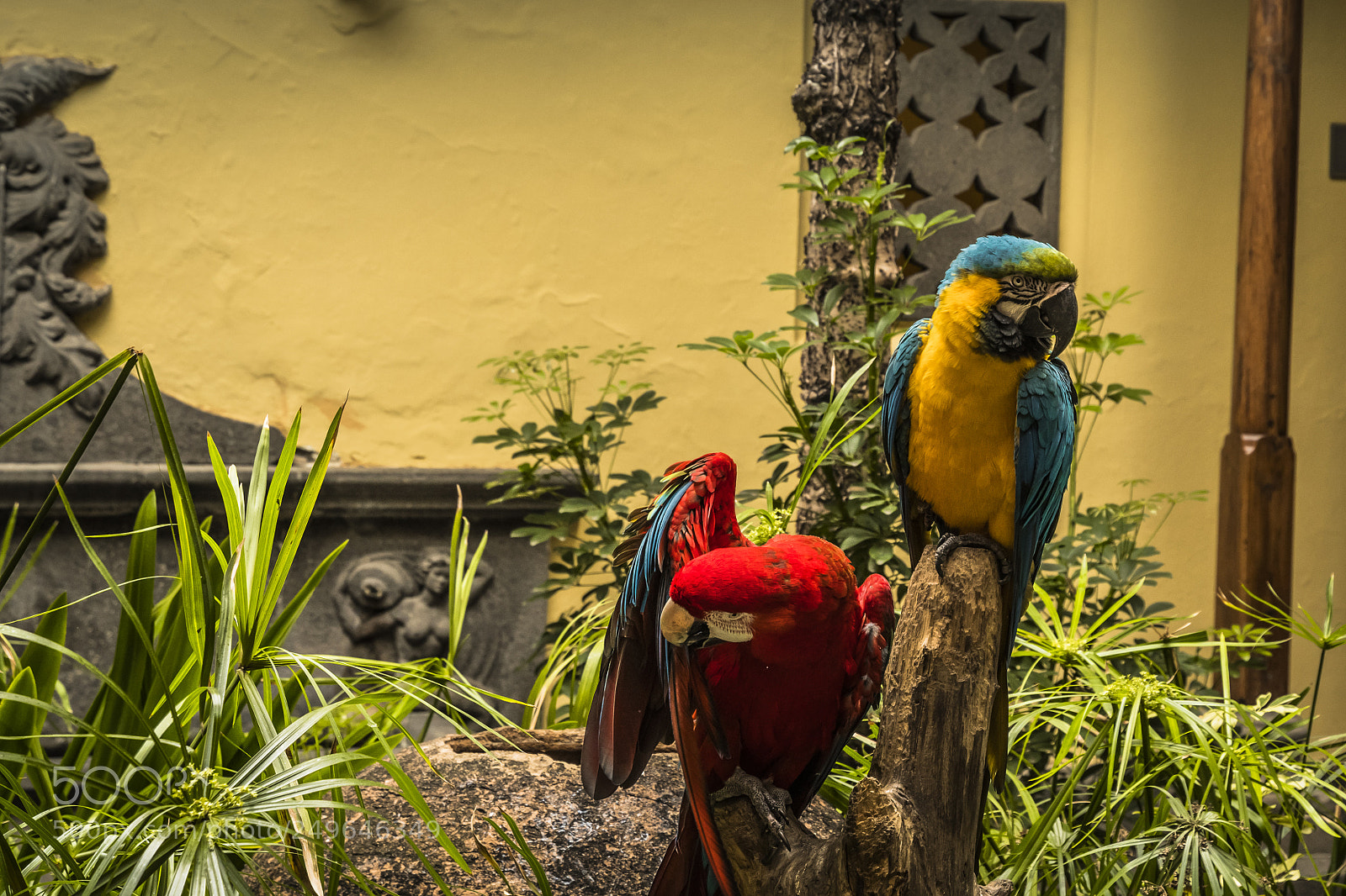 Nikon D500 sample photo. Las palmas, grand canaria photography