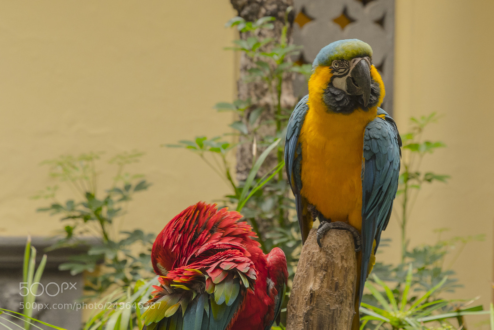 Nikon D500 sample photo. Las palmas, grand canaria photography