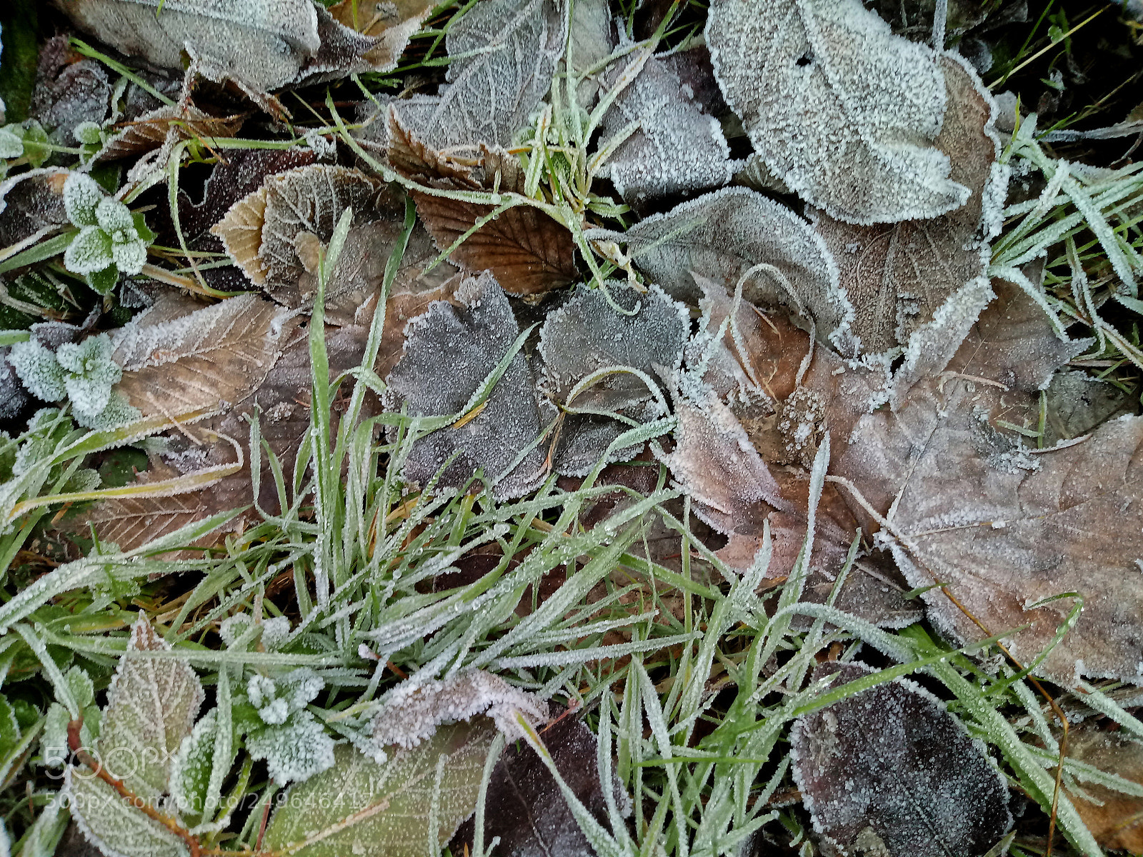 LG K10 (2017) sample photo. Untitled photography
