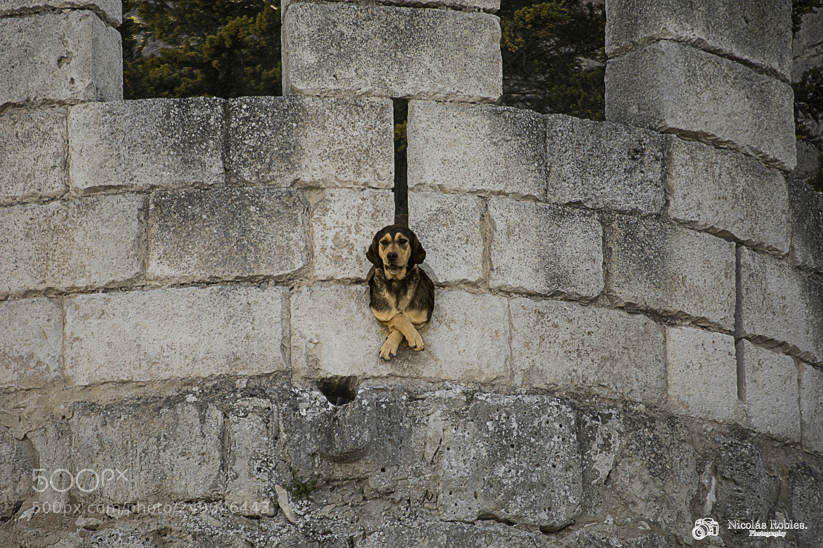 Nikon D7100 sample photo. Hi guys photography
