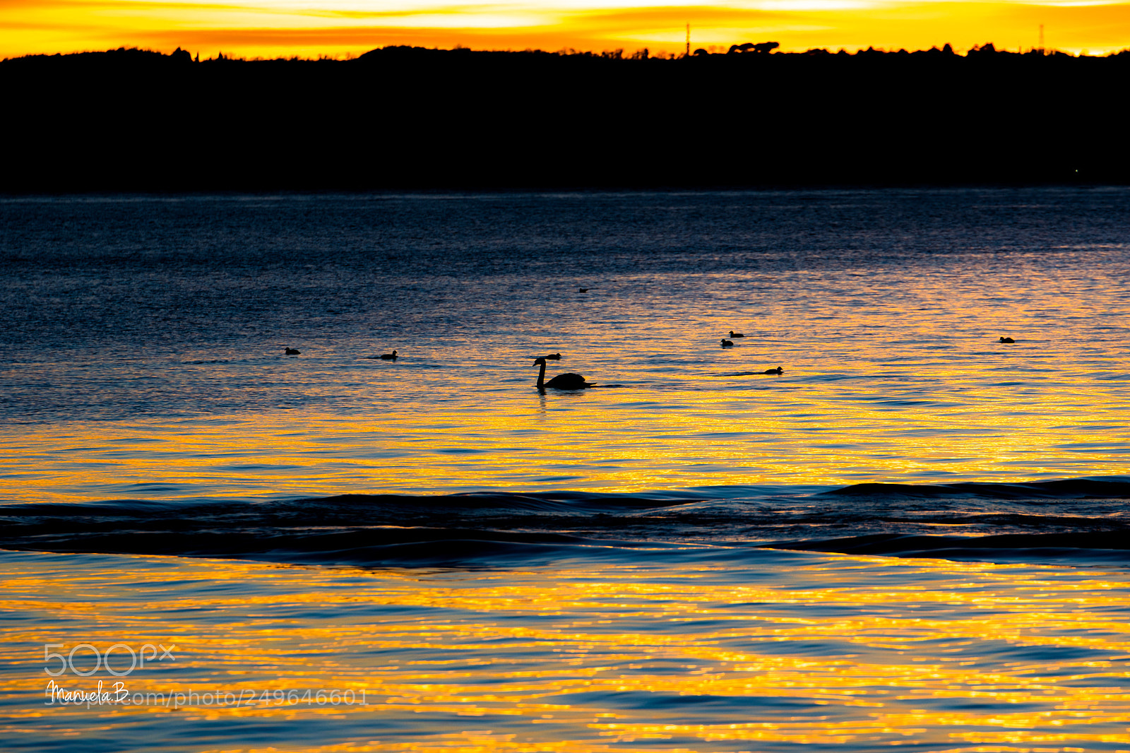 Nikon D3300 sample photo. Untitled photography