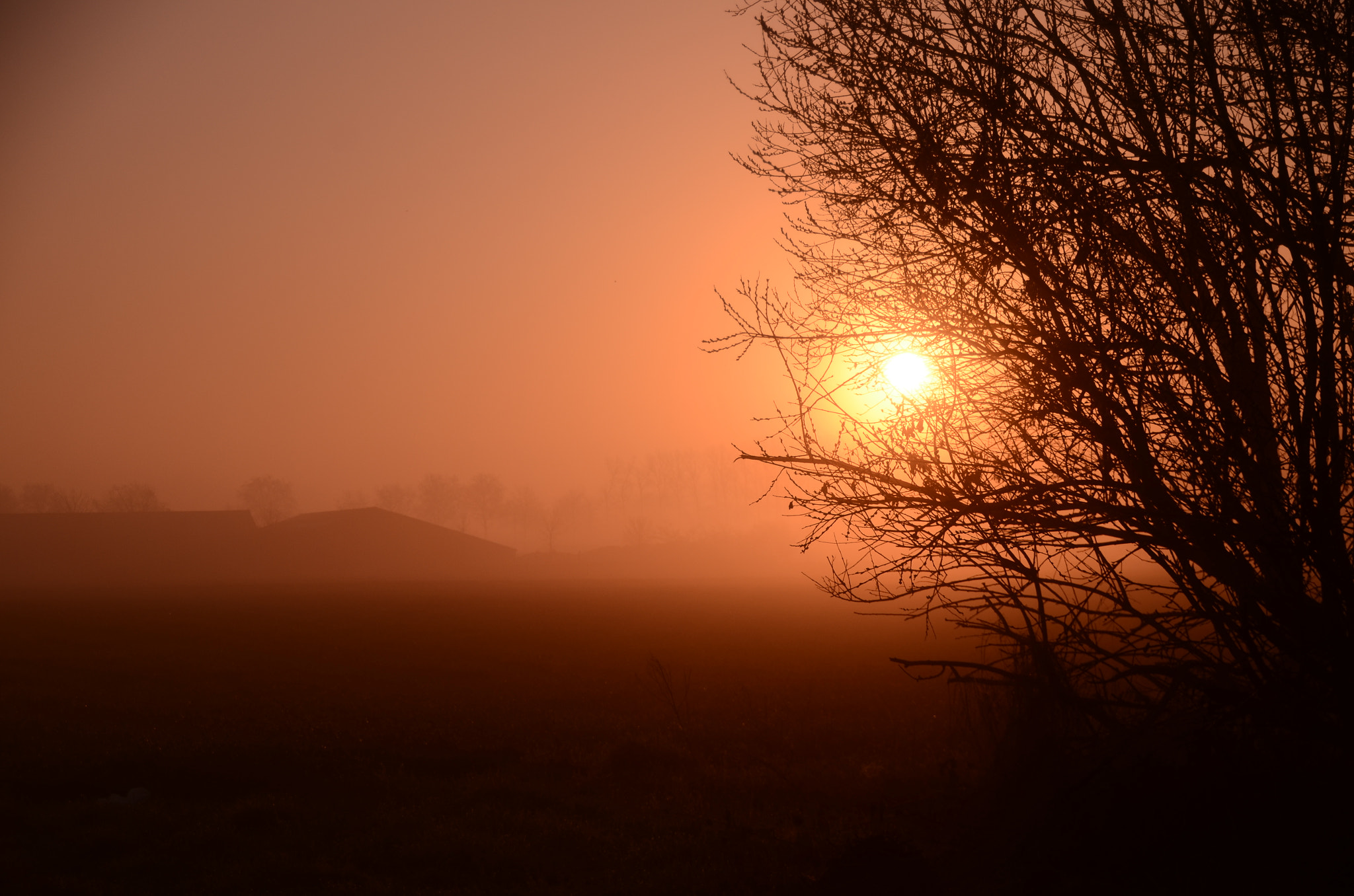 Nikon D7000 sample photo. Sunrise at the farm photography