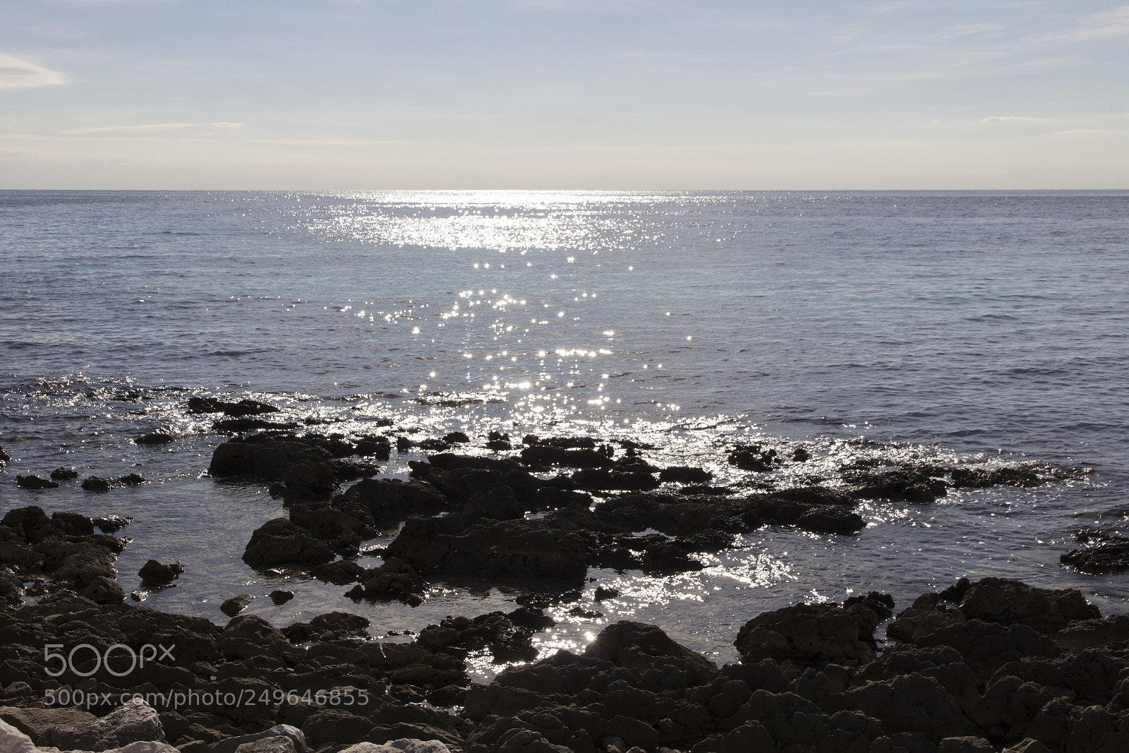 Canon EOS 600D (Rebel EOS T3i / EOS Kiss X5) sample photo. Against the sun photography