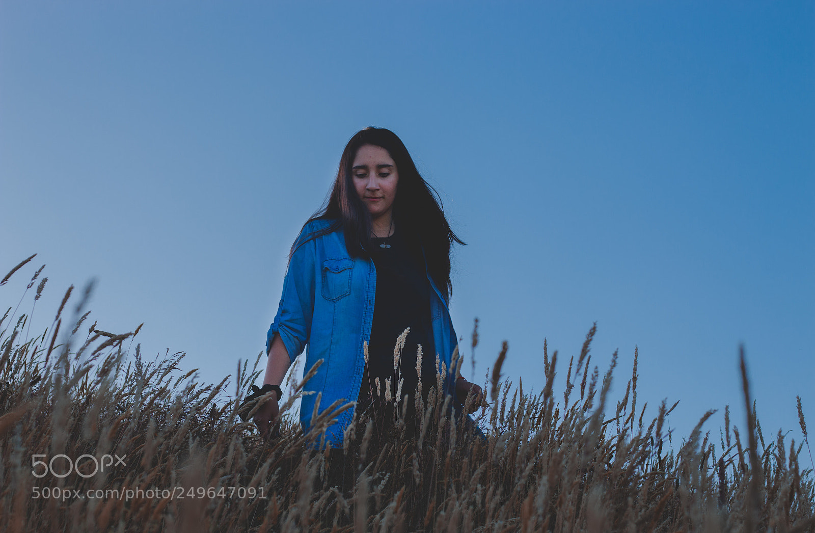 Canon EOS 700D (EOS Rebel T5i / EOS Kiss X7i) sample photo. Victoria aravena photography