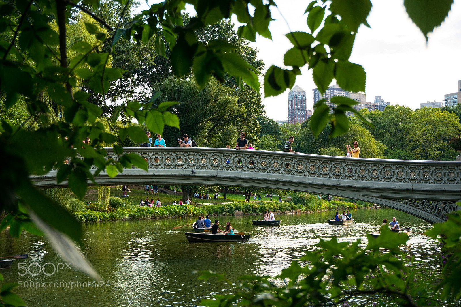 Sony Alpha NEX-6 sample photo. Untitled photography