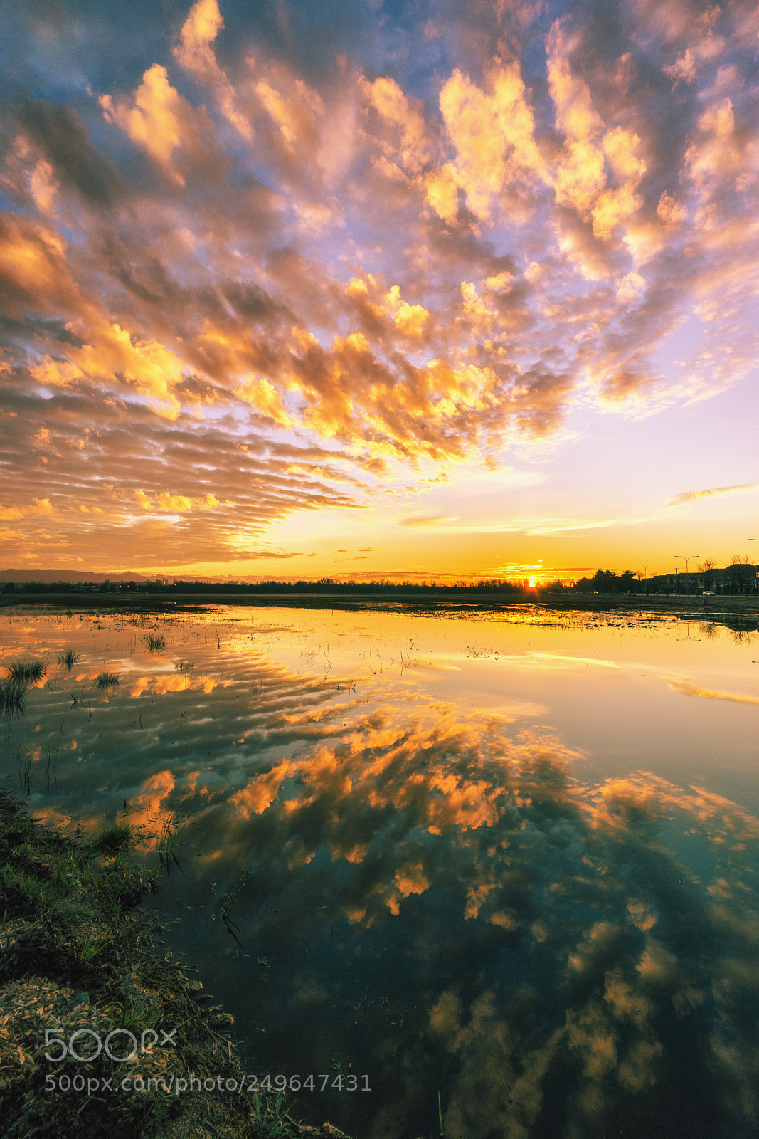 Sony a7 sample photo. Fiery skies photography
