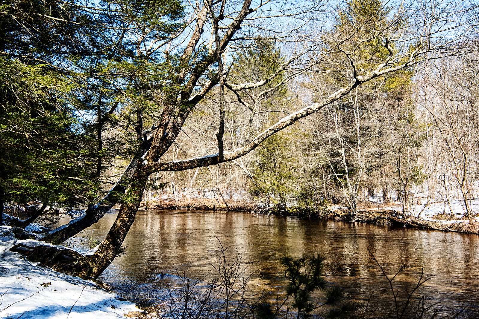 Nikon D810 sample photo. Natchaug river in winter photography