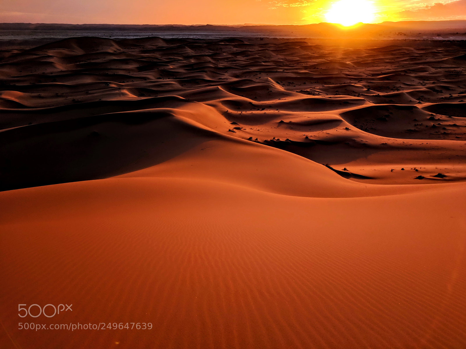 Google Pixel sample photo. Sahara sands photography