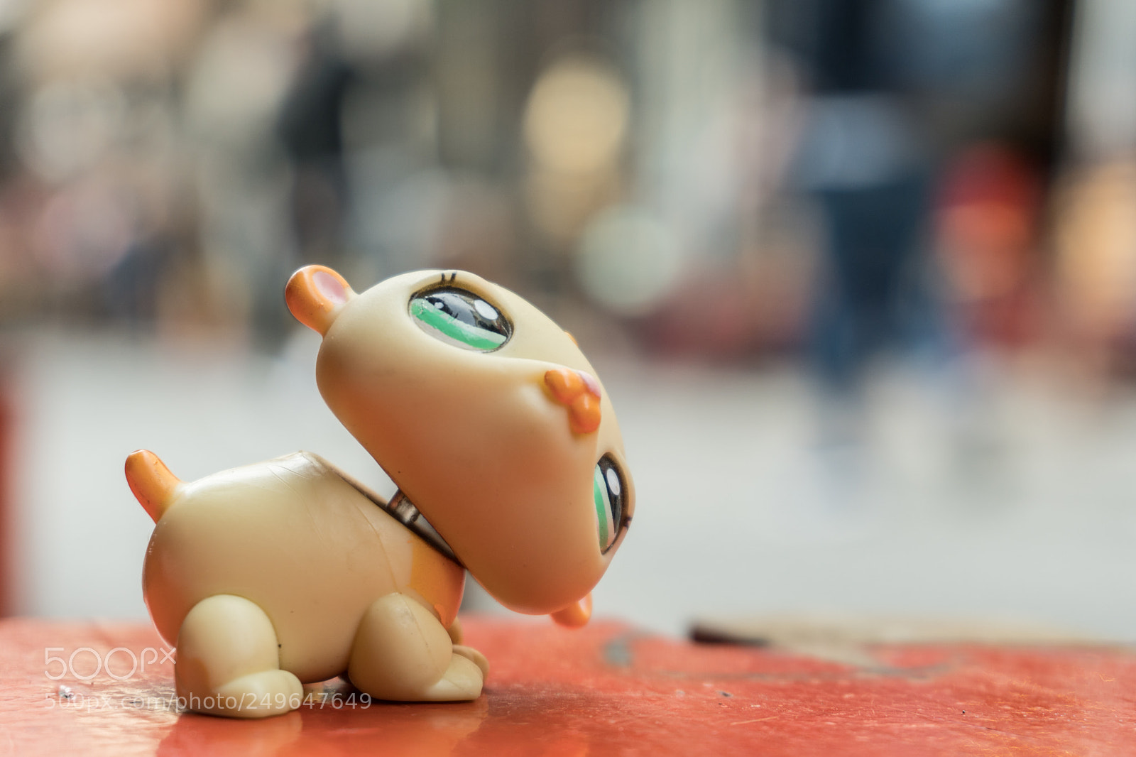 Sony a6300 sample photo. Macro photography
