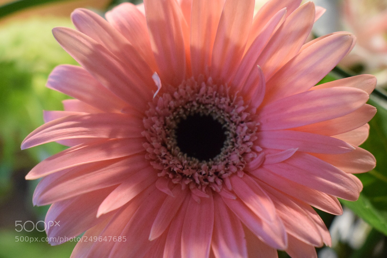 Nikon D5300 sample photo. #saturdaymorning #flowerslovers #bouquetofflowers  ... photography