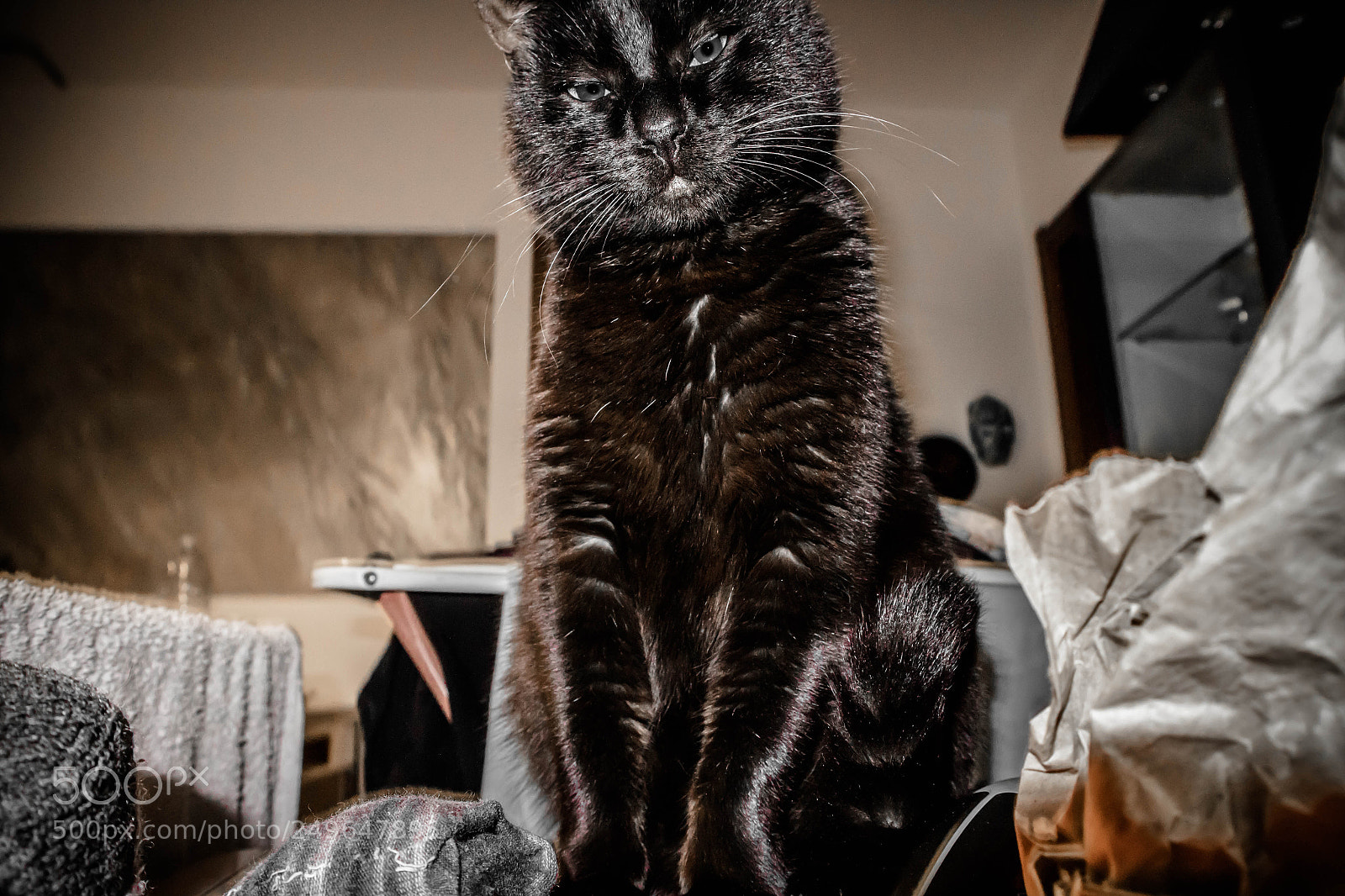Canon EOS M10 sample photo. Img photography