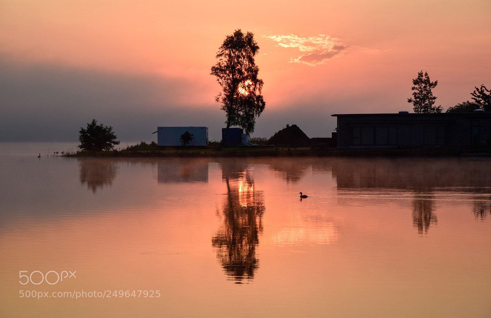 Nikon D5300 sample photo. Rising sun photography
