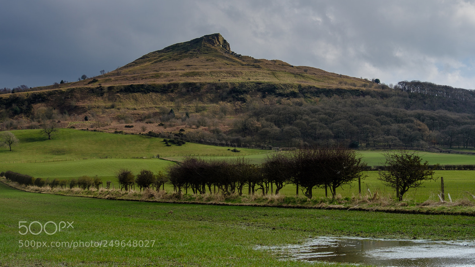 Fujifilm X-T2 sample photo. Roseberry topping photography