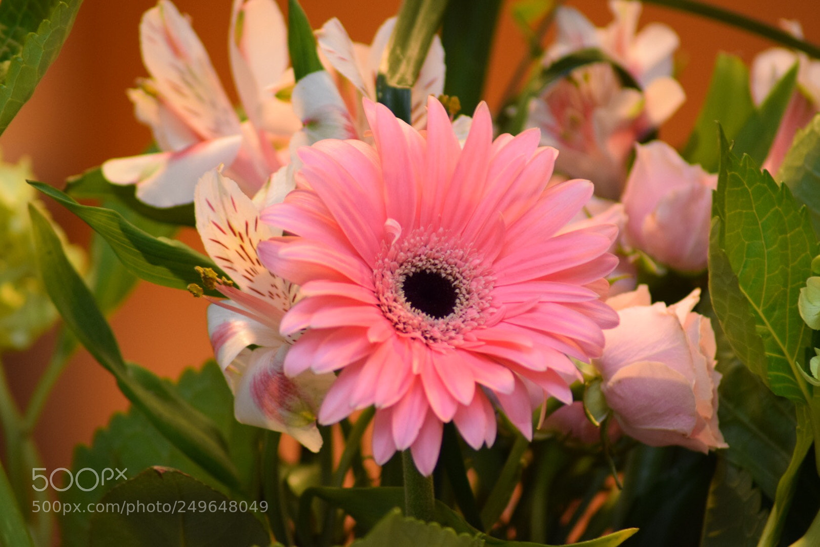 Nikon D5300 sample photo. #saturdaymorning #flowerslovers #bouquetofflowers  ... photography