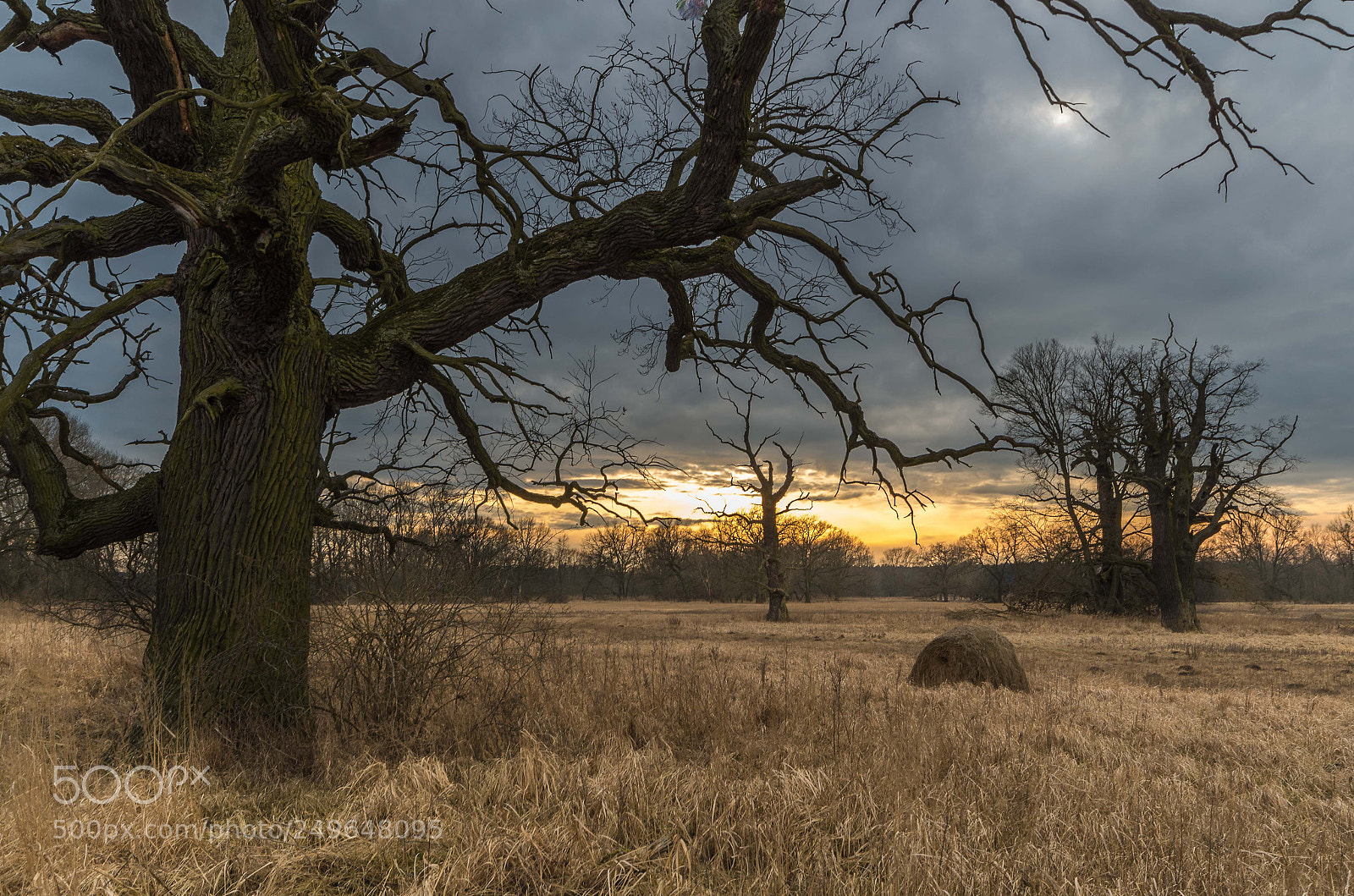 Pentax K-50 sample photo. Evening meadows photography