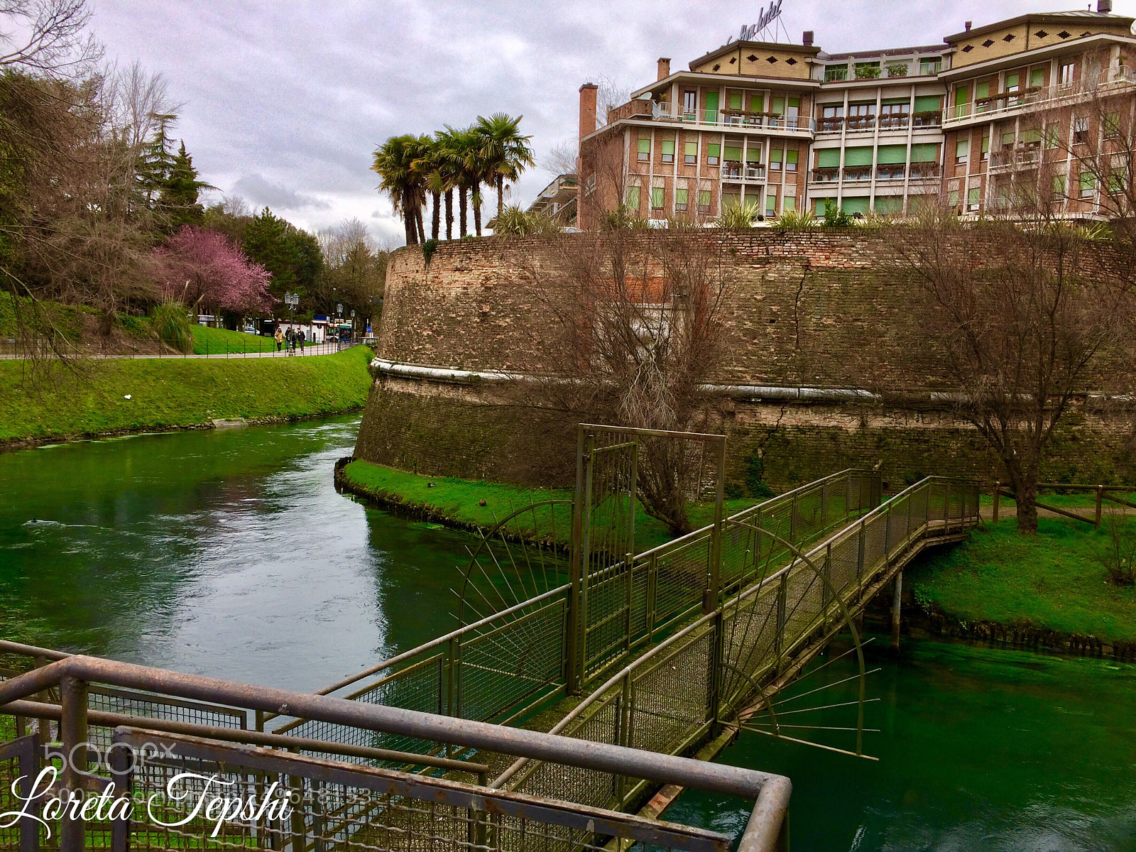 Apple iPhone 5s sample photo. In green... photography