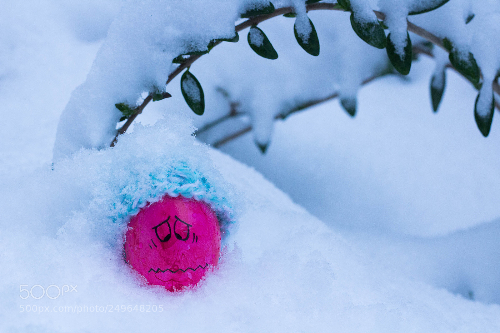 Canon EOS 600D (Rebel EOS T3i / EOS Kiss X5) sample photo. Brrrr... photography