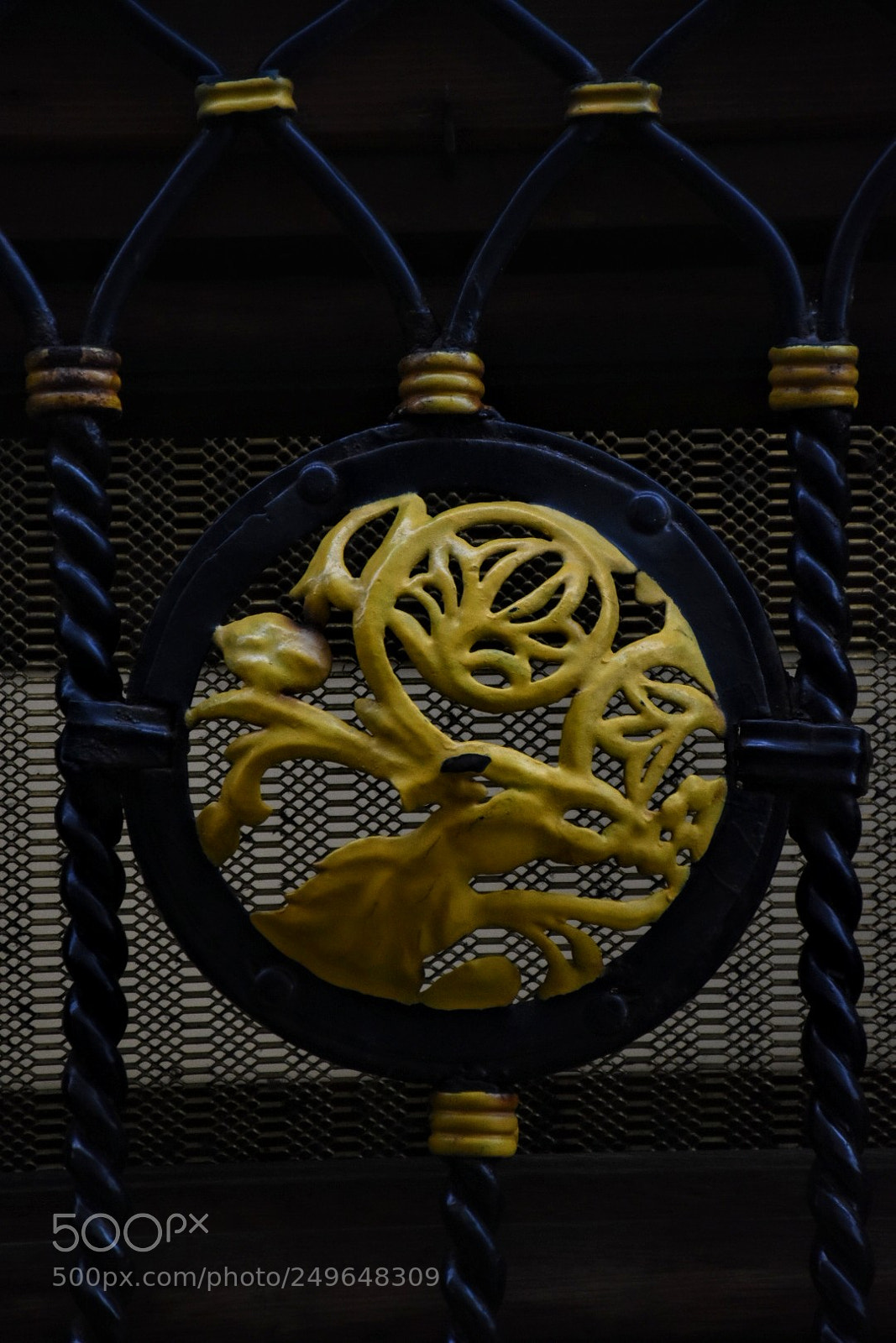 Nikon D5600 sample photo. Venizian style photography