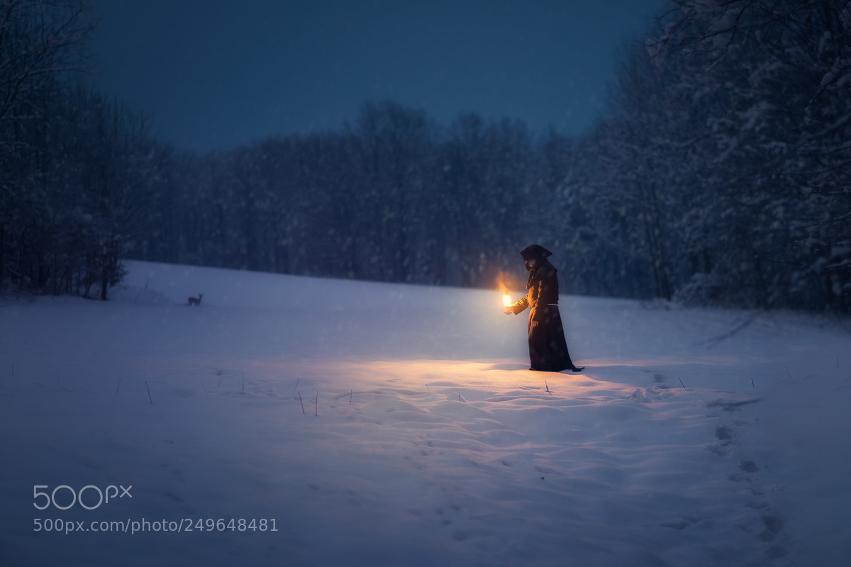 Nikon D800 sample photo. The monk ... photography